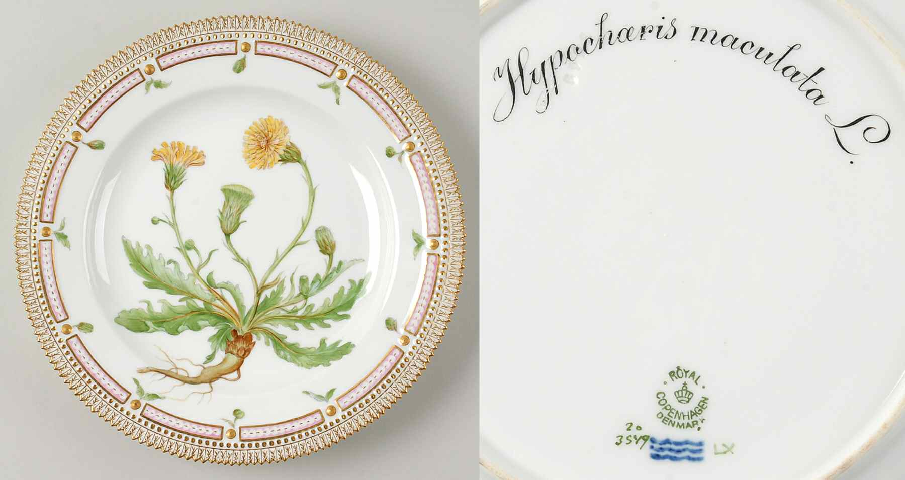 Flora Danica (1790 To 1960) Dinner Plate-Hypochoeris maculata L by Royal Copenhagen-1