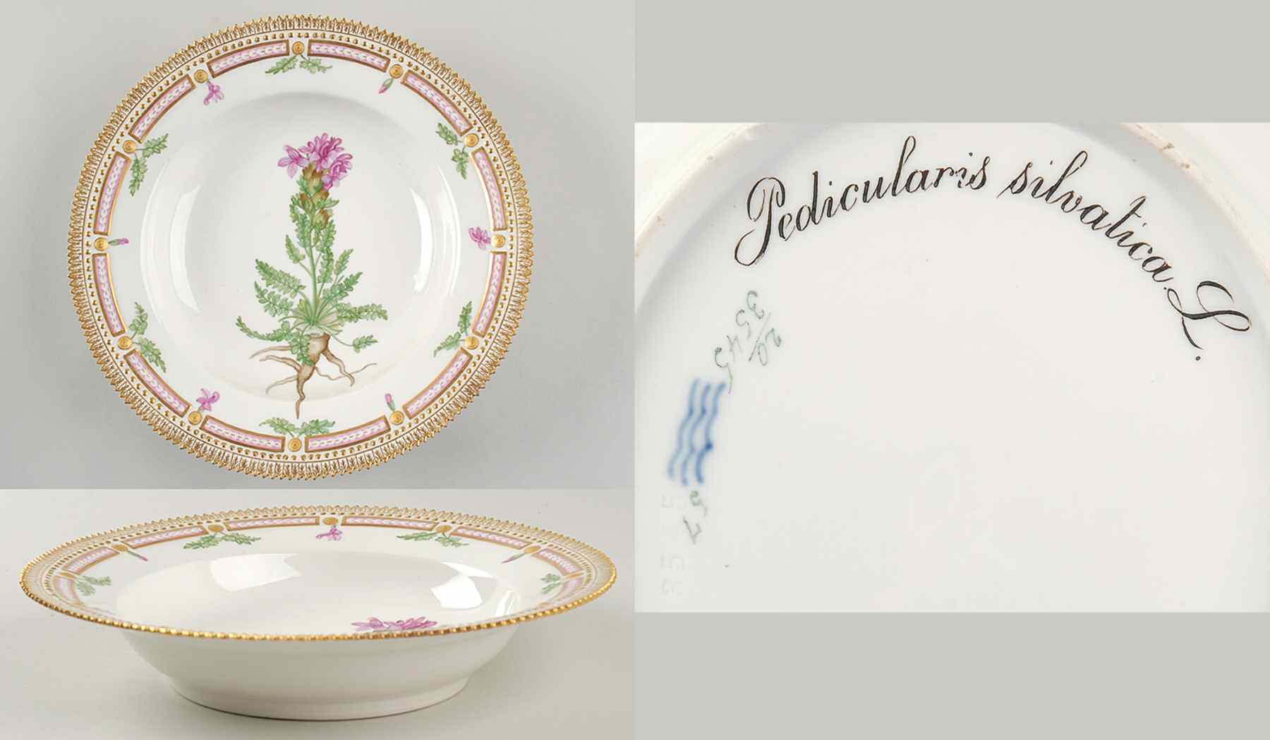Flora Danica (1790 To 1960) Large Rim Soup Bowl-Pedicularis silvatica L by Royal Copenhagen-1