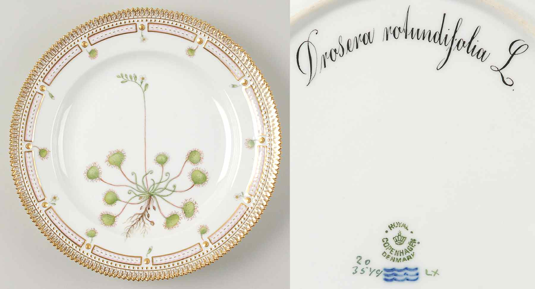 Flora Danica (1790 To 1960) Dinner Plate-Drosera rotundifolia L by Royal Copenhagen-1