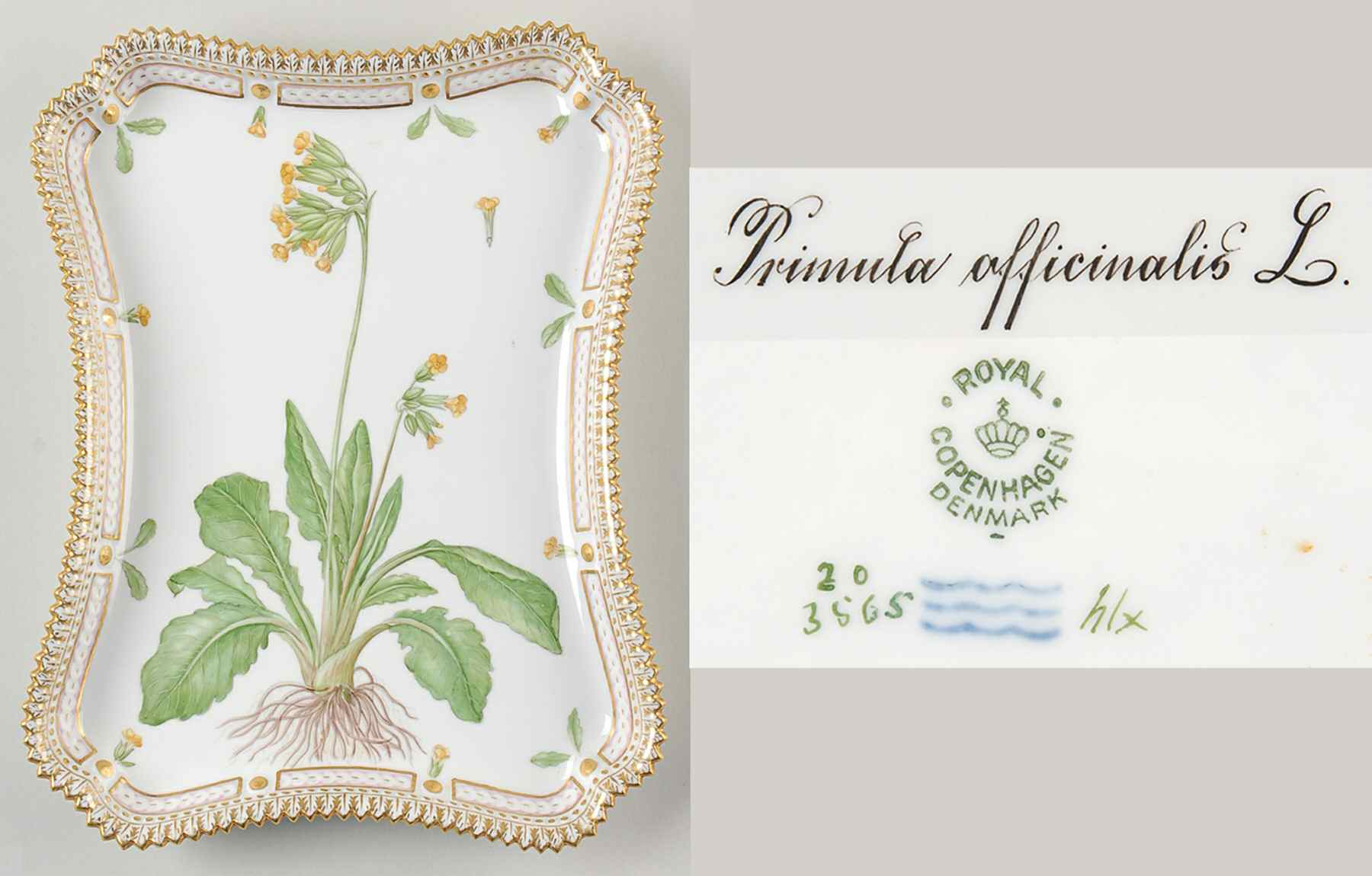 Flora Danica (1790 To 1960) 11" Rectangular Tray-Primula afficinalis L by Royal Copenhagen-1
