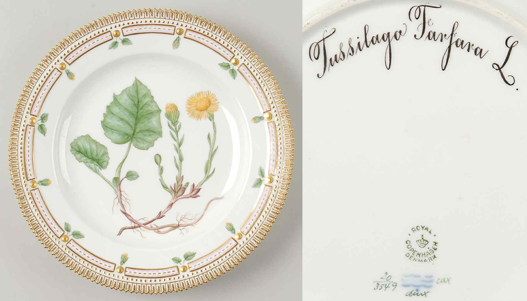 Flora Danica (1790 To 1960) Dinner Plate-Tussilago Farfara L by Royal Copenhagen-1