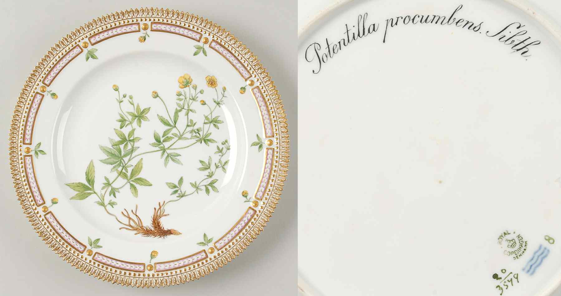 Flora Danica (1790 To 1960) Dinner Plate-Potentilla procumbens Sibth by Royal Copenhagen-1