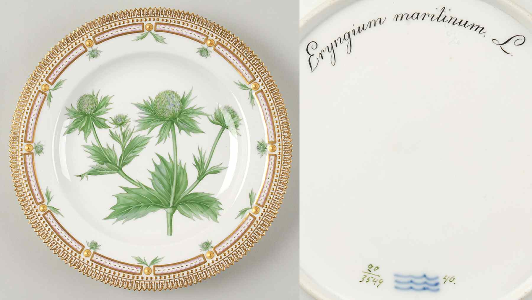 Flora Danica (1790 To 1960) Dinner Plate-Eryngium maritinum L by Royal Copenhagen-1