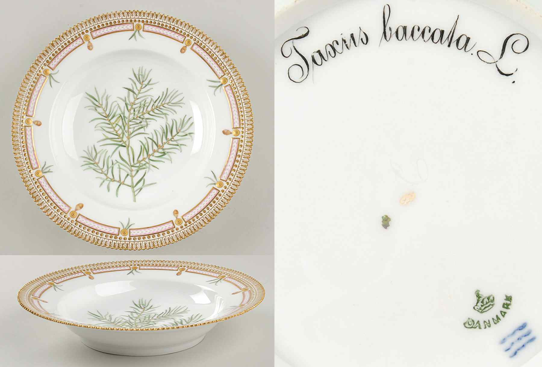 Flora Danica (1790 To 1960) Large Rim Soup Bowl-Taxus baccata L by Royal Copenhagen-1