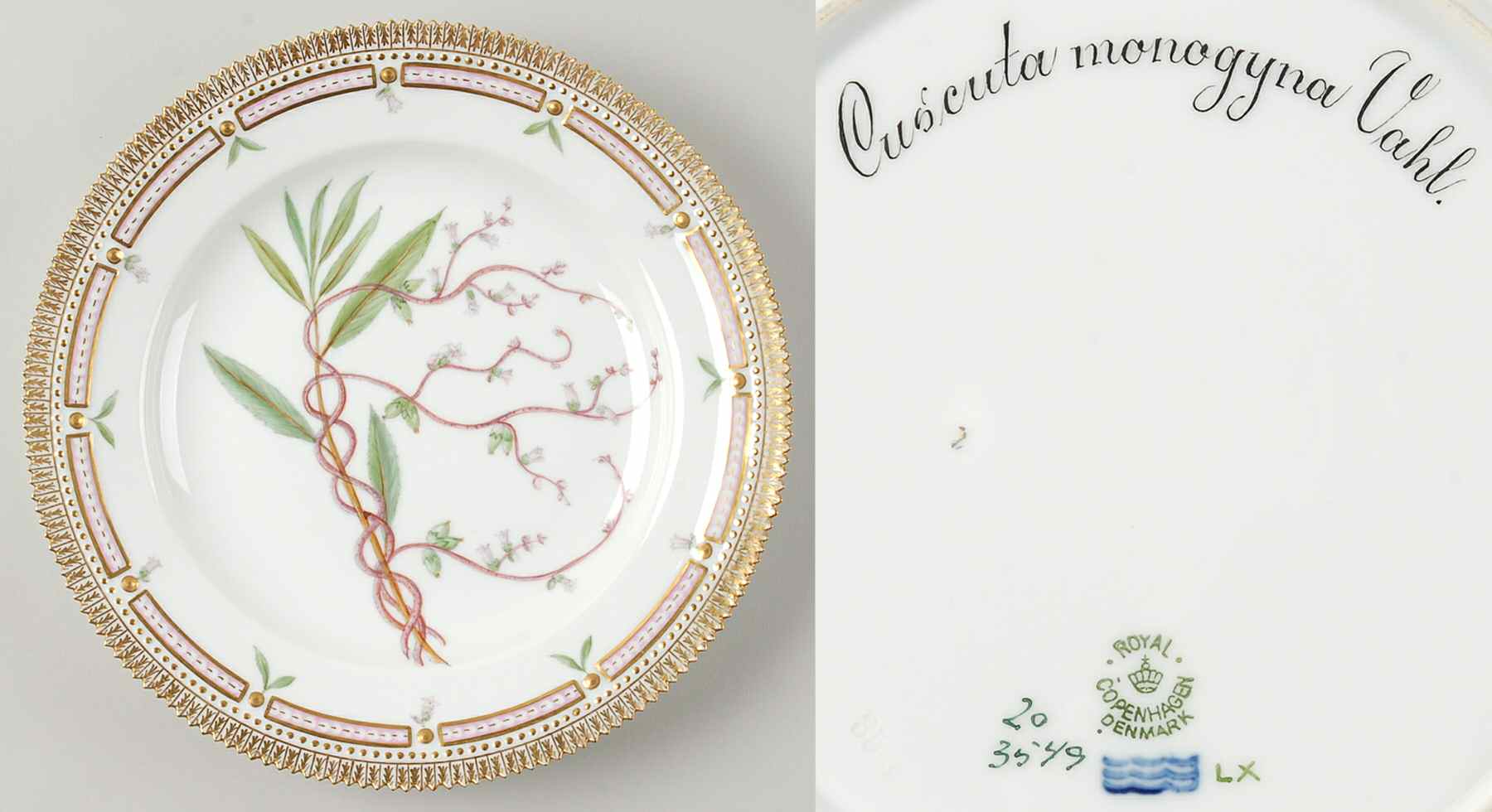 Flora Danica (1790 To 1960) Dinner Plate-Cuscuta monogyna Vahl-8 Big Leaves by Royal Copenhagen-1
