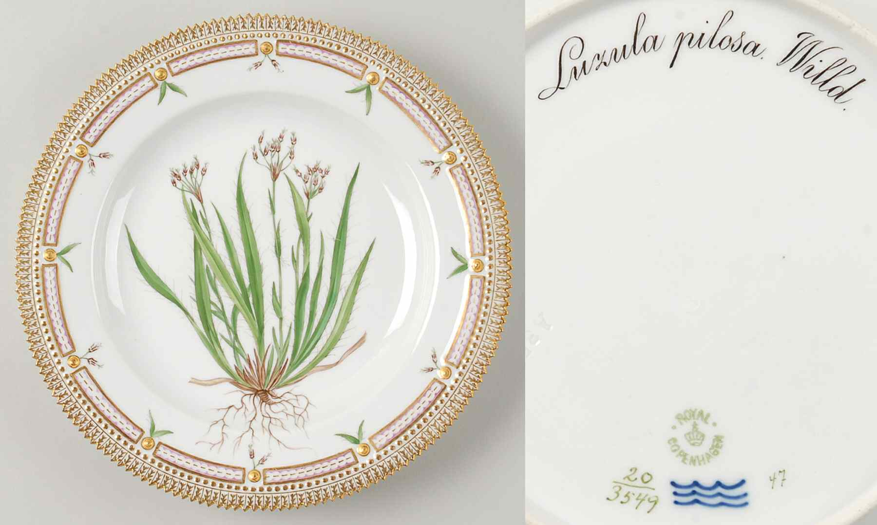 Flora Danica (1790 To 1960) Dinner Plate-Luzula pilosa Willd by Royal Copenhagen-1