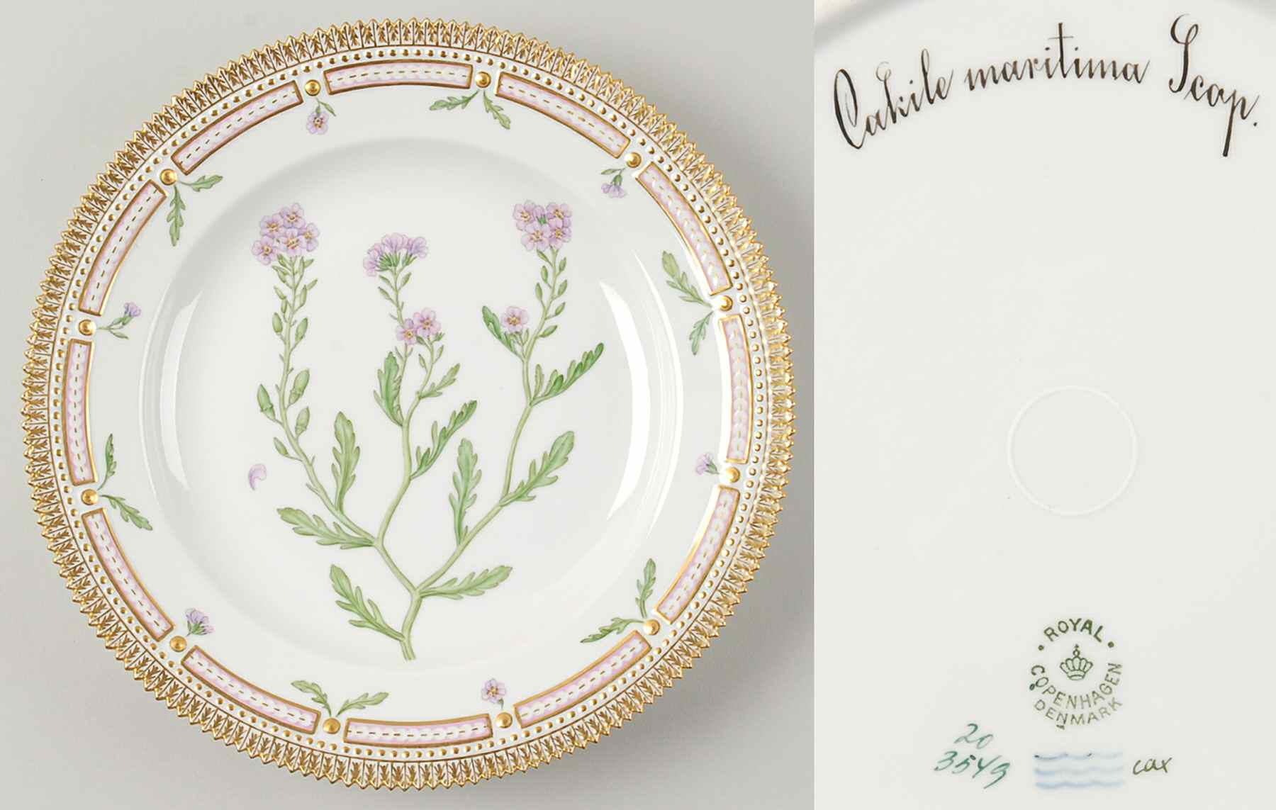 Flora Danica (1790 To 1960) Dinner Plate-Cakile maritima Scop by Royal Copenhagen-1