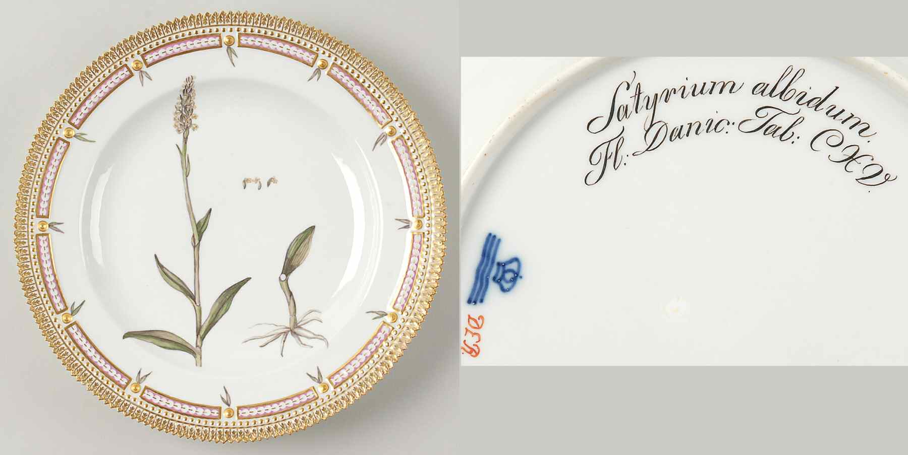 Flora Danica (1790 To 1960) Dinner Plate-JM-Satyrium albidum by Royal Copenhagen-1