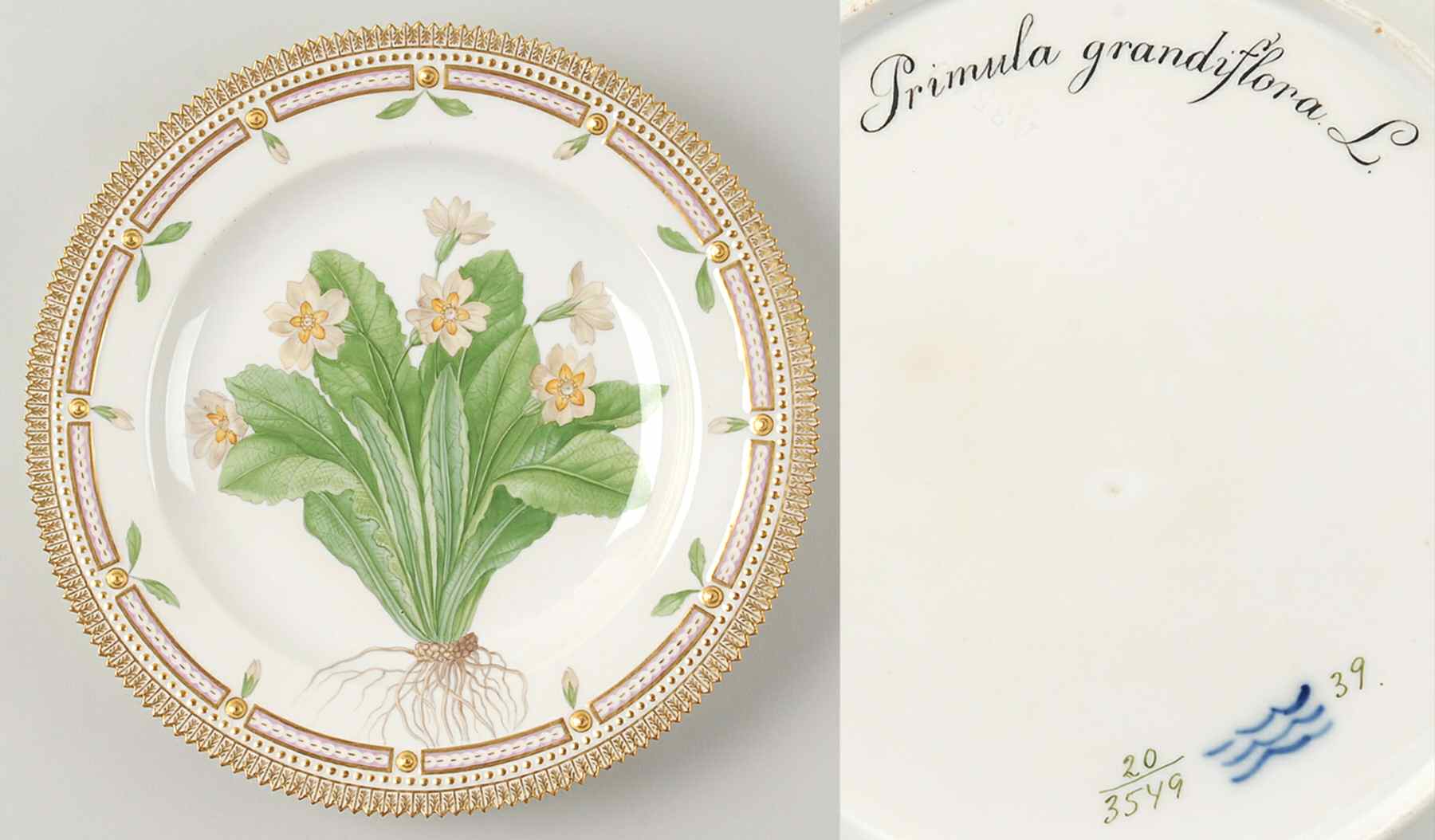 Flora Danica (1790 To 1960) Dinner Plate-Primula grandiflora L by Royal Copenhagen-1