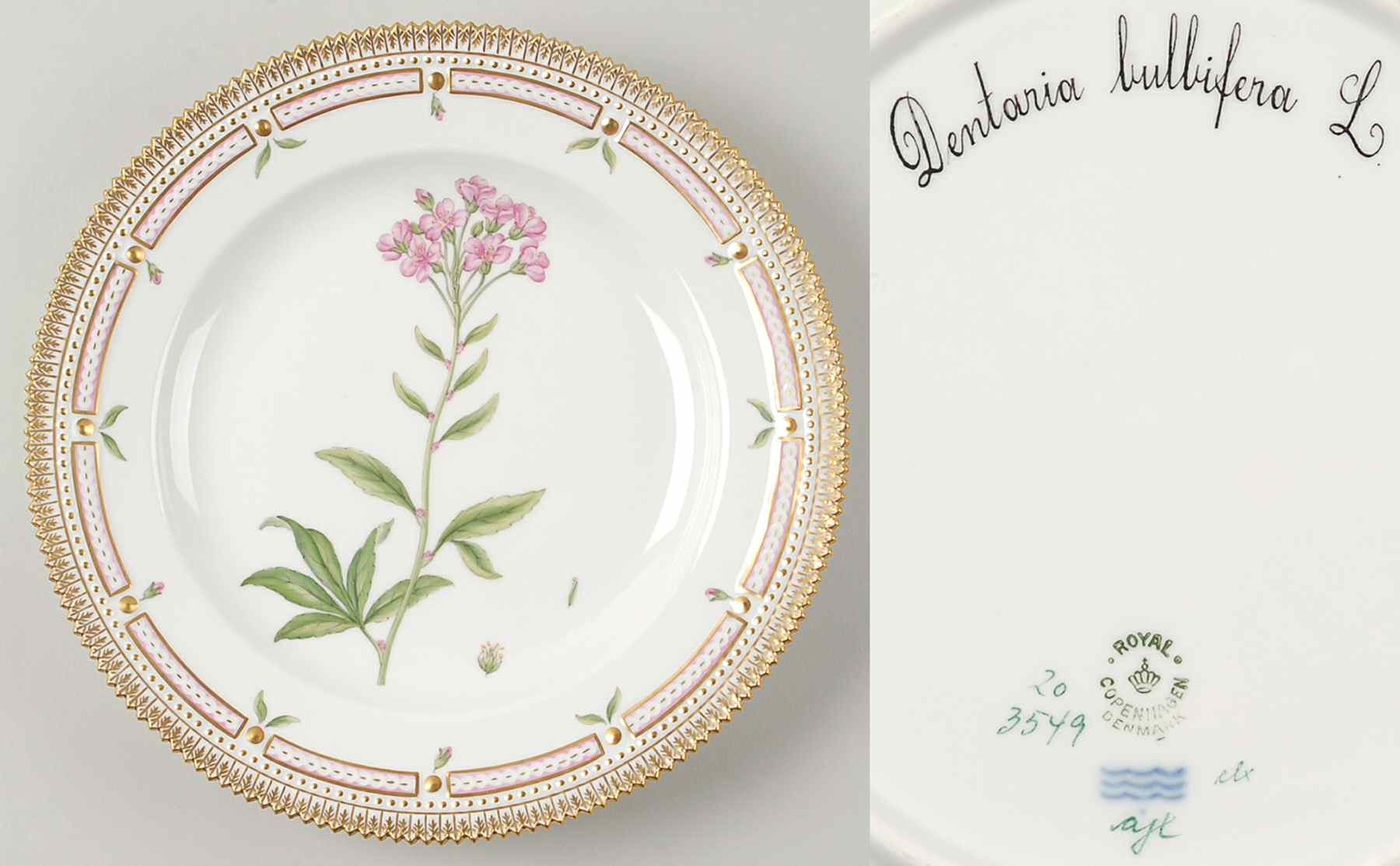 Flora Danica (1790 To 1960) Dinner Plate-Dentaria bulbifera L by Royal Copenhagen-1