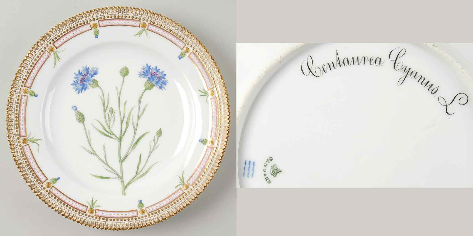 Flora Danica (1790 To 1960) Dinner Plate-Centaurea Cyanus L by Royal Copenhagen-1