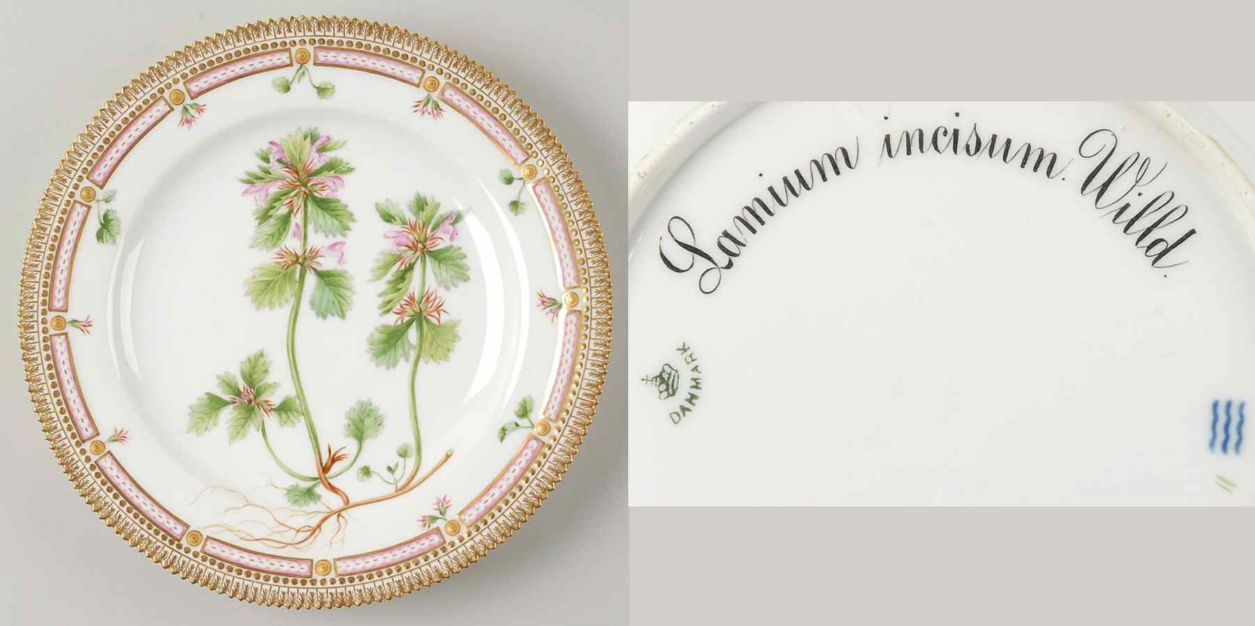 Flora Danica (1790 To 1960) Dinner Plate-Lamium incisum Willd by Royal Copenhagen-1