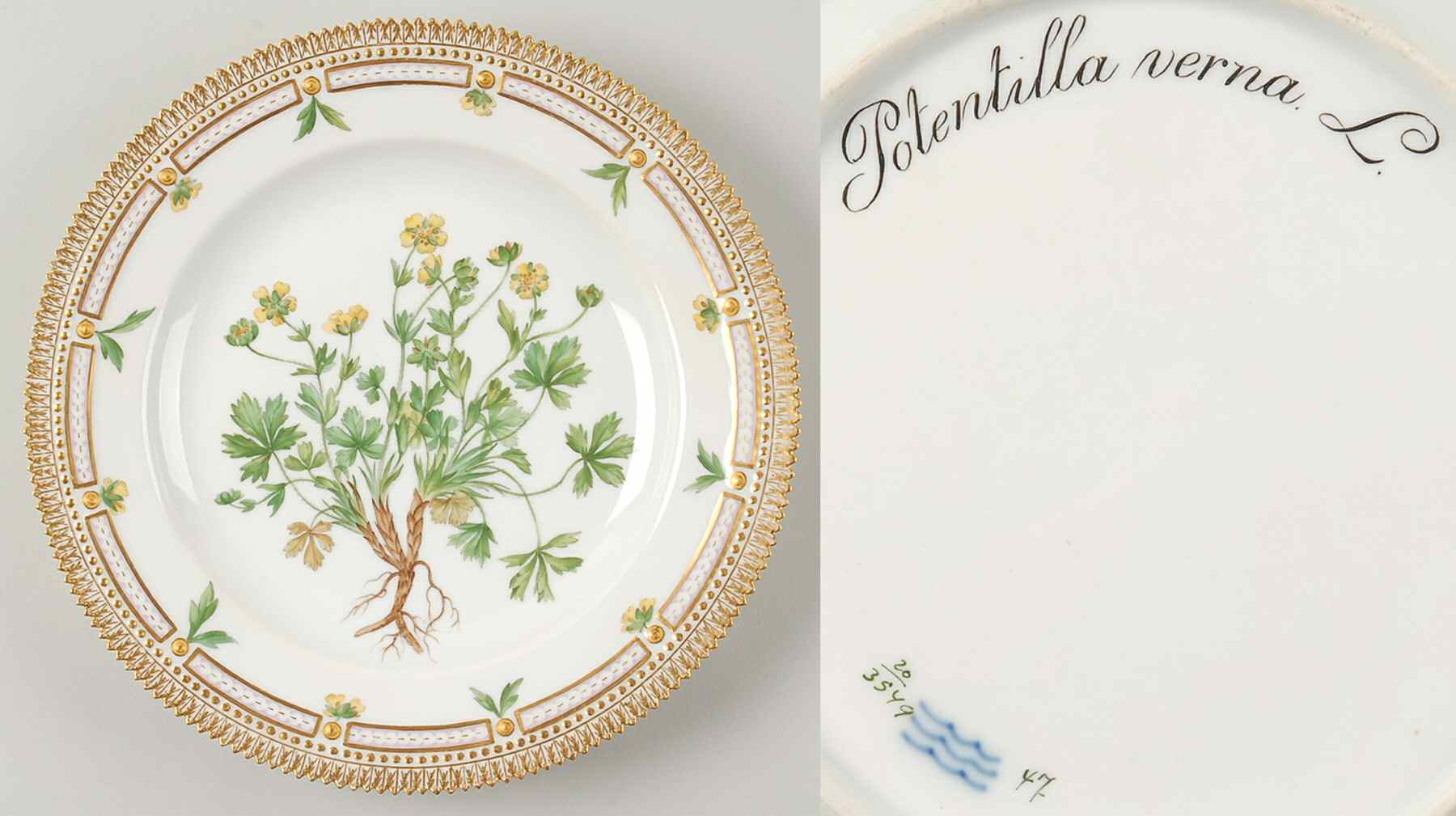 Flora Danica (1790 To 1960) Dinner Plate-Potentilla verna L by Royal Copenhagen-1