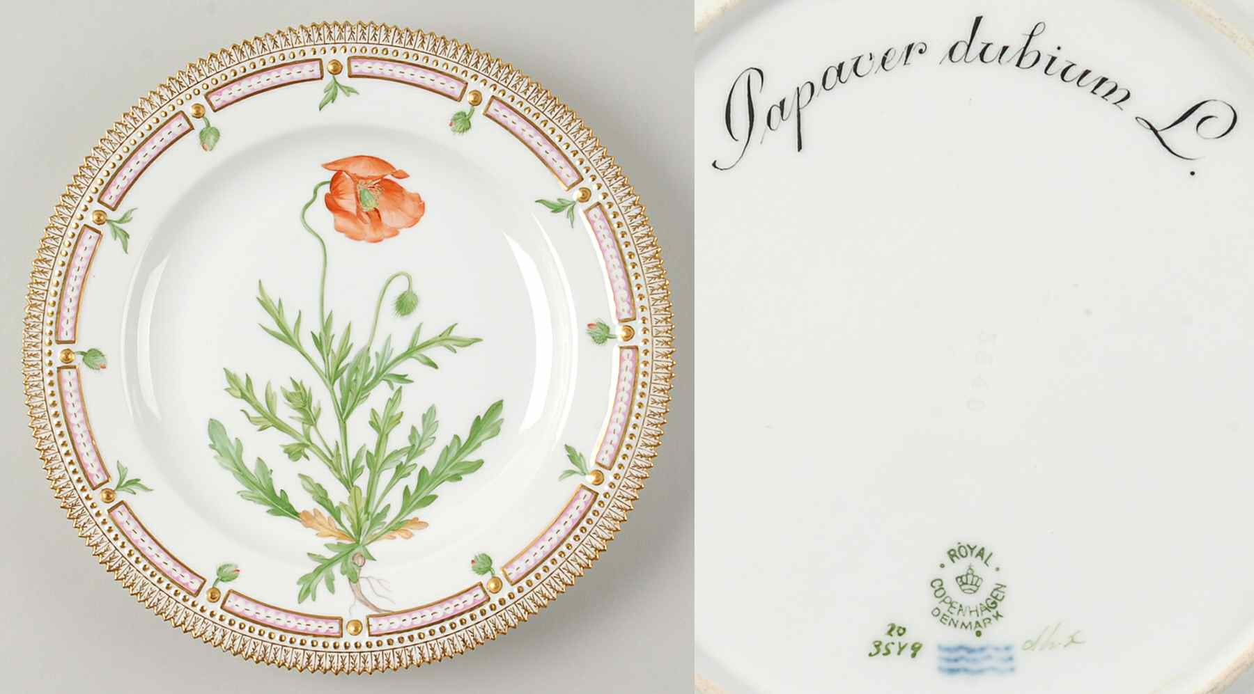 Flora Danica (1790 To 1960) Dinner Plate-Papaver dubium L by Royal Copenhagen-1