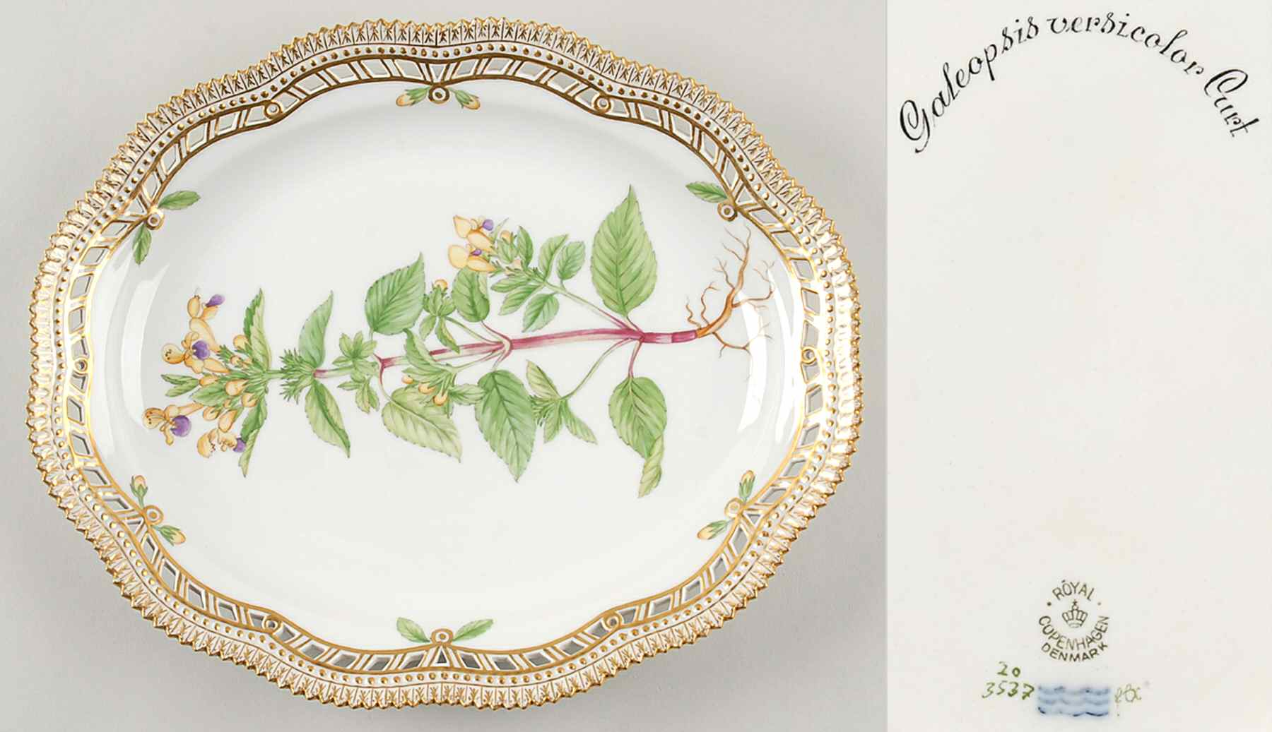 Flora Danica (1790 To 1960) 10" Oval Fruit Stand-Galeopsis versicolor Curt by Royal Copenhagen-1