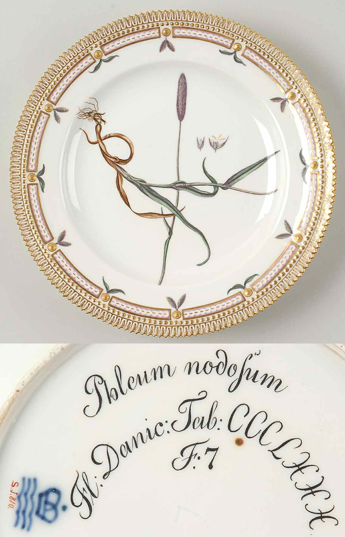 Flora Danica (1790 To 1960) Dinner Plate-JM-Phleum nodosum by Royal Copenhagen-1