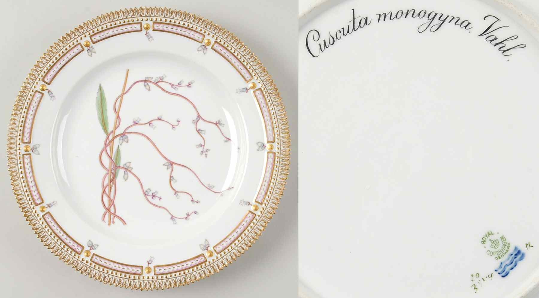Flora Danica (1790 To 1960) Dinner Plate-Cuscuta monogyna Vahl-2 Big Leaves by Royal Copenhagen-1