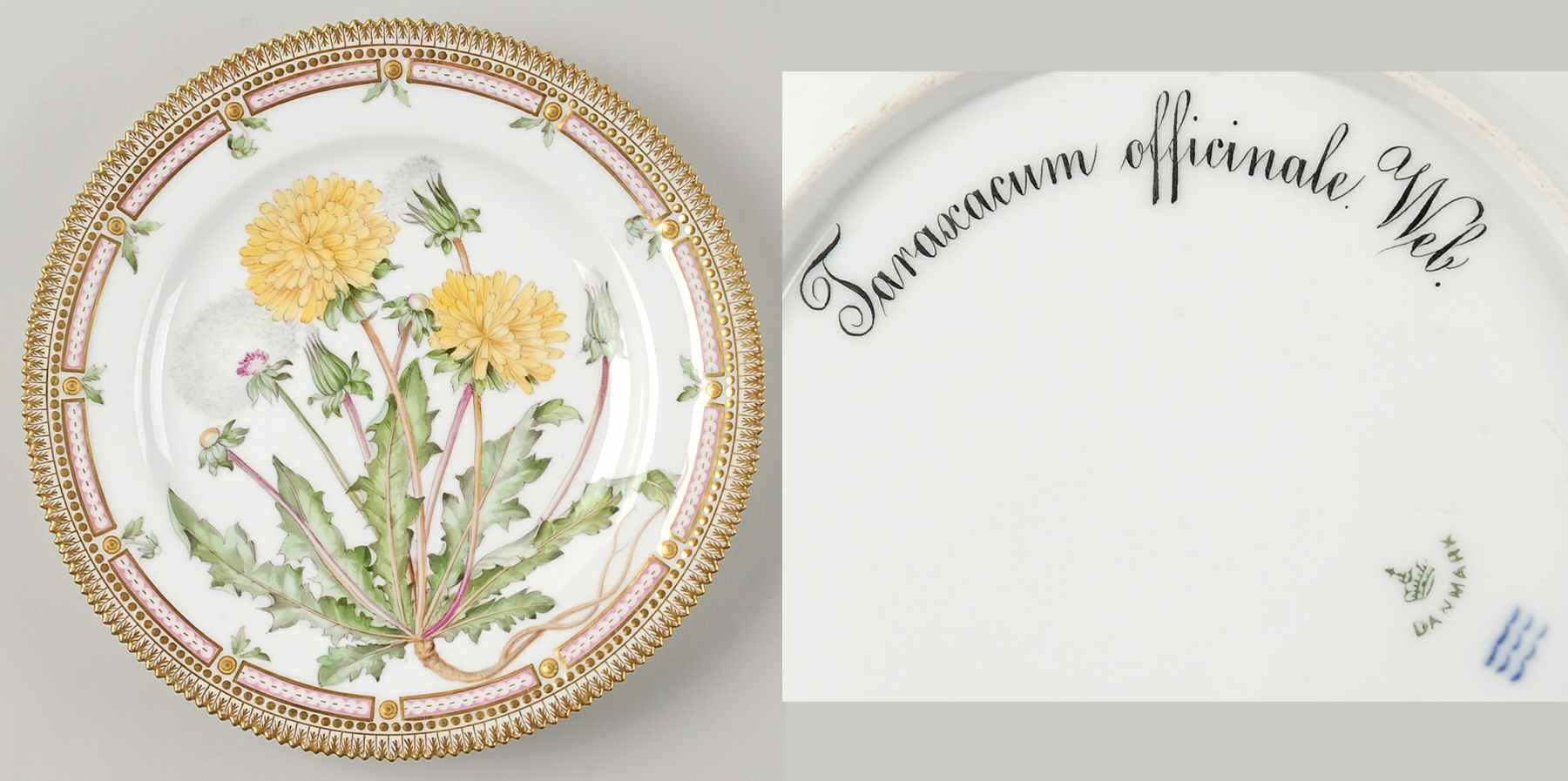 Flora Danica (1790 To 1960) Dinner Plate-Taraxacum officinale Web by Royal Copenhagen-1
