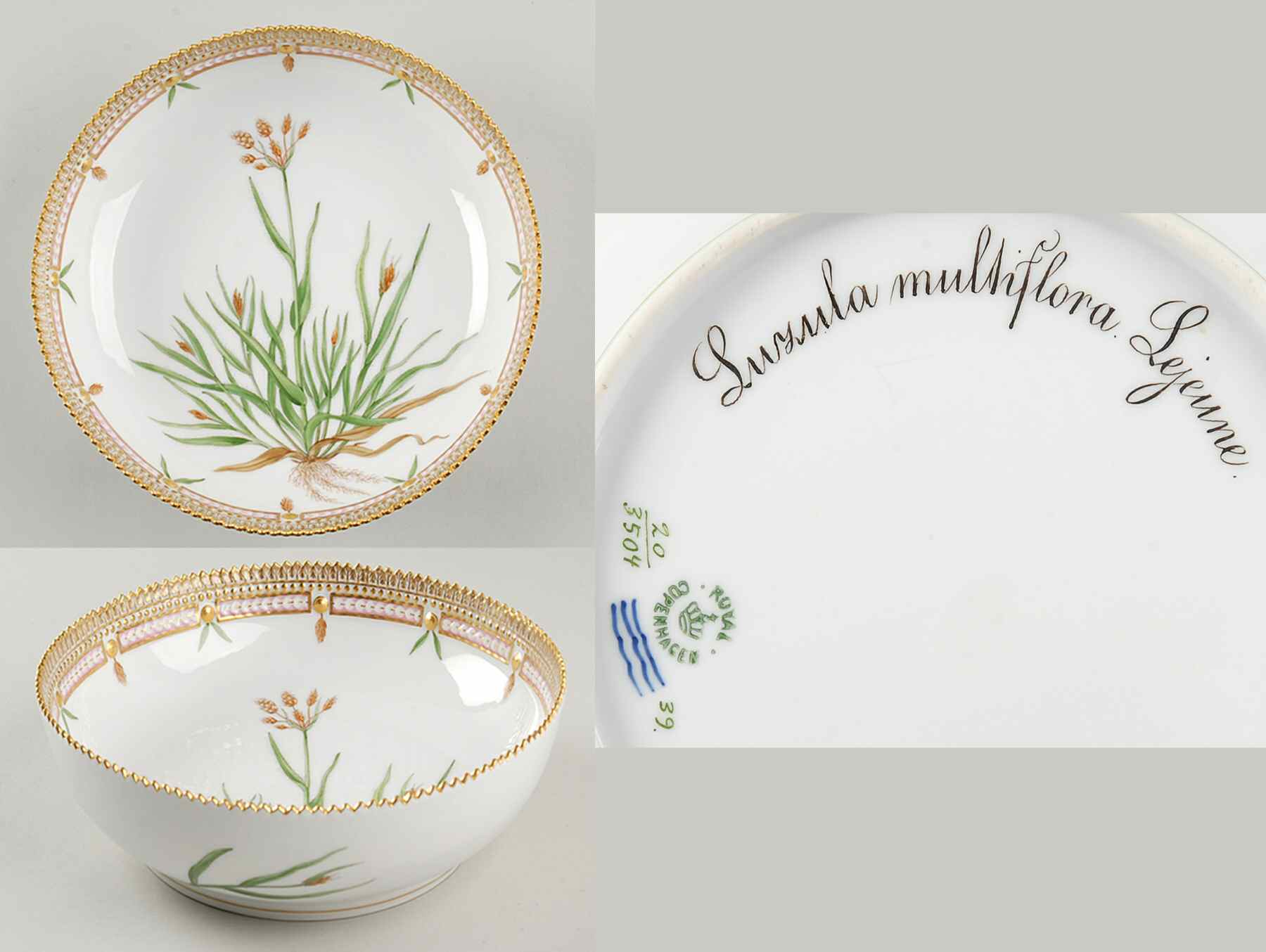Flora Danica (1790 To 1960) 9" Salad Serving Bowl-Luzula multiflora Lejeune by Royal Copenhagen-1