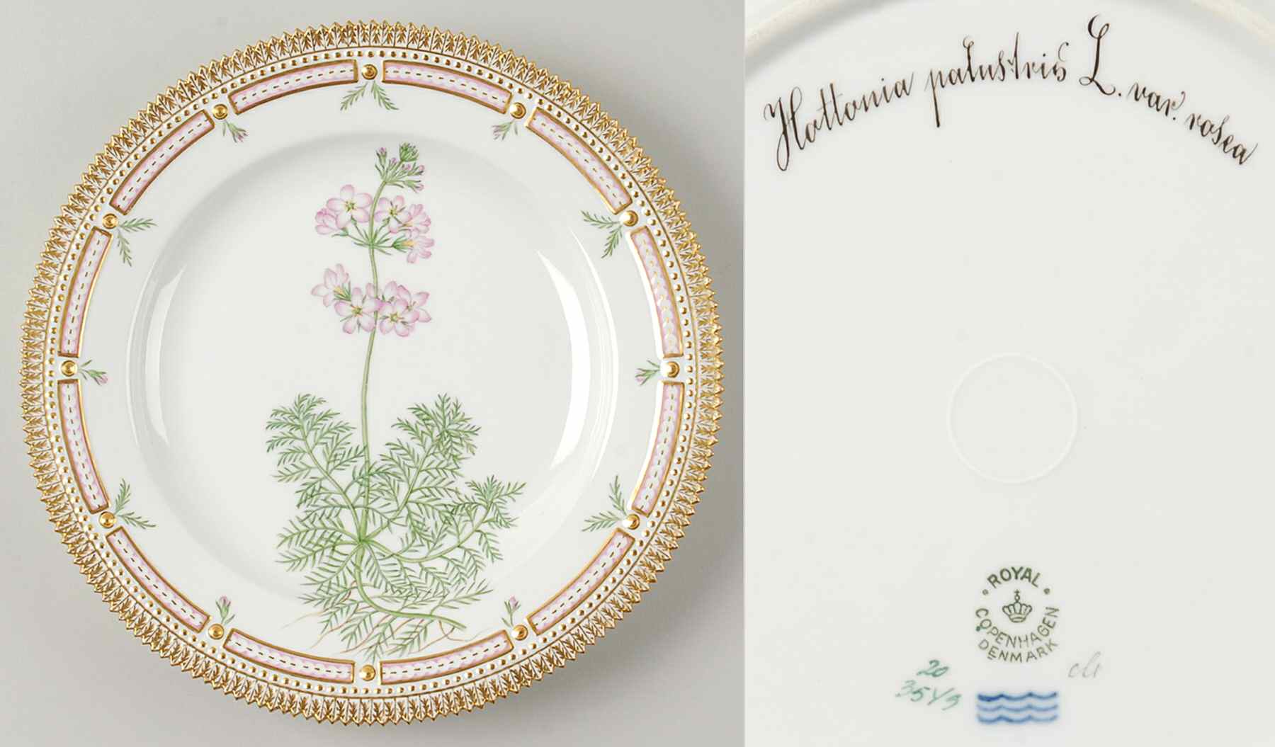 Flora Danica (1790 To 1960) Dinner Plate-Hottonia palustris L var rosea by Royal Copenhagen-1