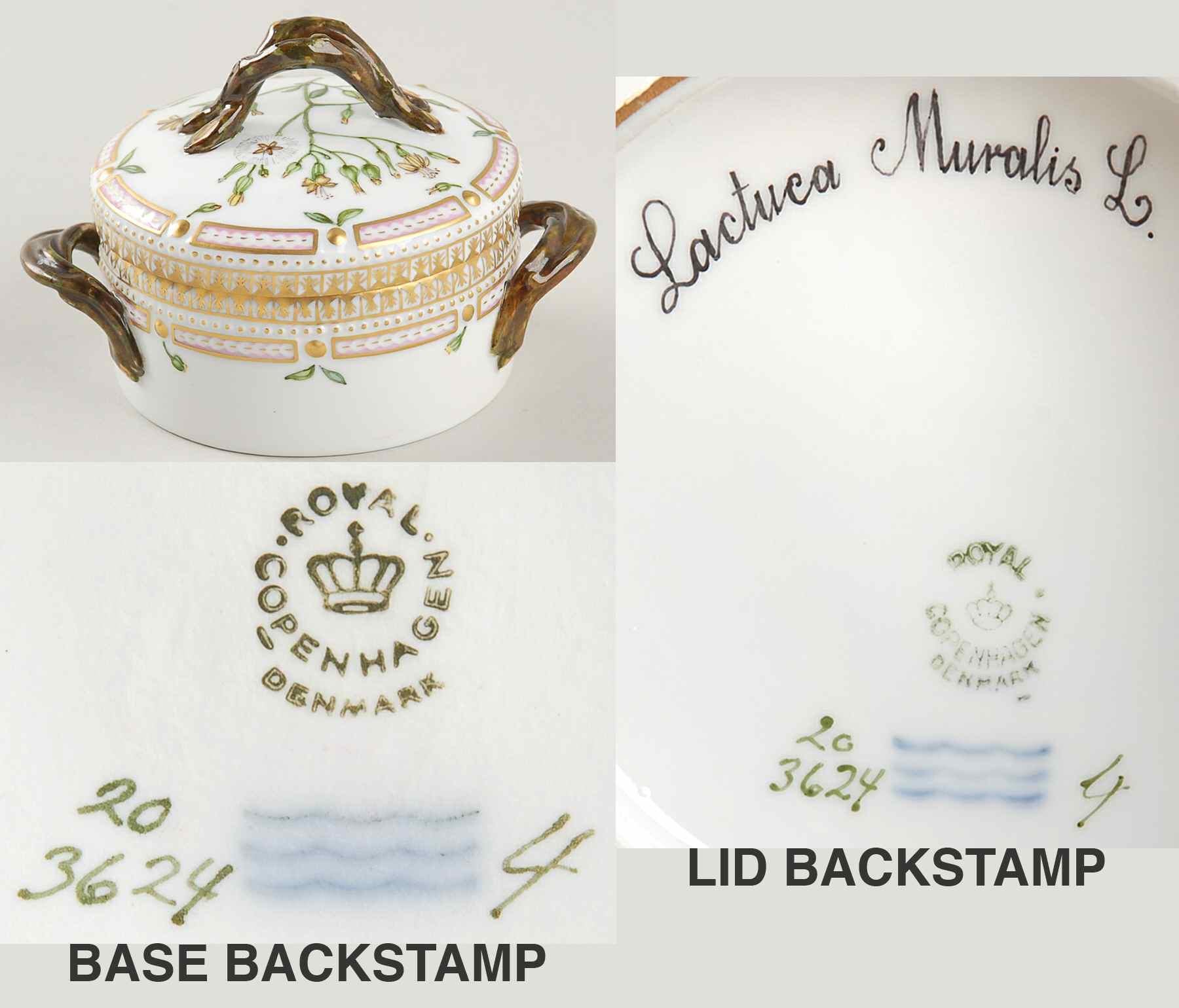 Flora Danica (1790 To 1960) Small Sugar Bowl & Lid-Lactuca Muralis L by Royal Copenhagen-1
