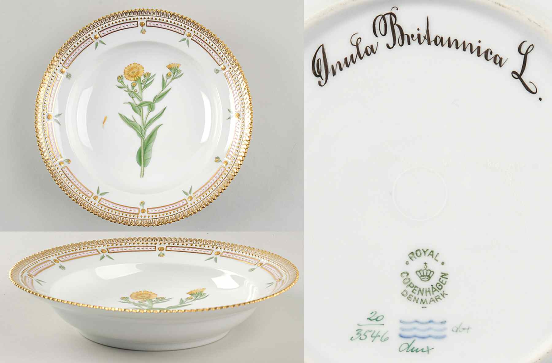 Flora Danica (1790 To 1960) Rim Soup Bowl-Inula britannica L by Royal Copenhagen-1