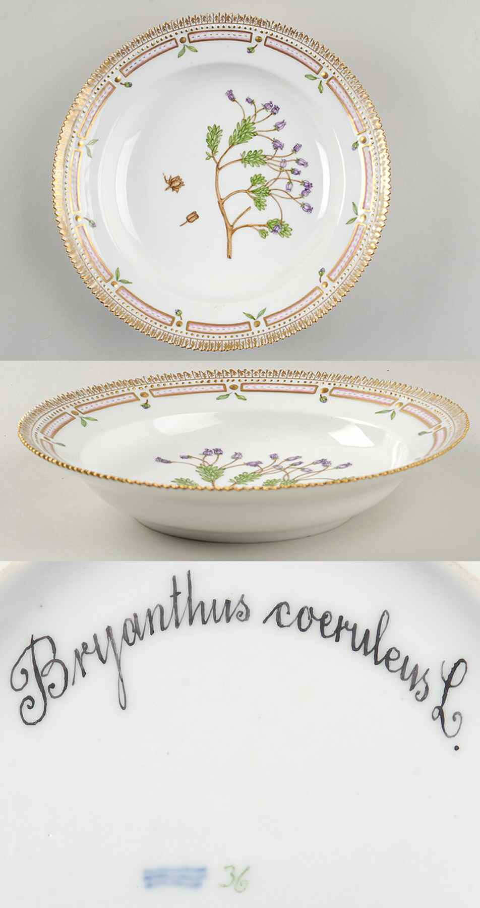 Flora Danica (1790 To 1960) Rim Soup Bowl-Bryanthus coeruleus L by Royal Copenhagen-1