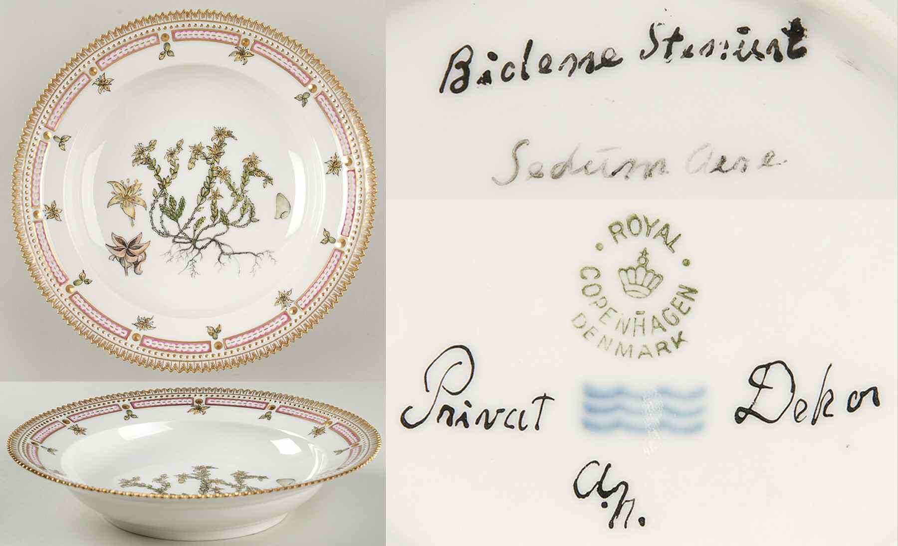 Flora Danica (1790 To 1960) Rim Soup Bowl-Biolene Stesiust by Royal Copenhagen-1
