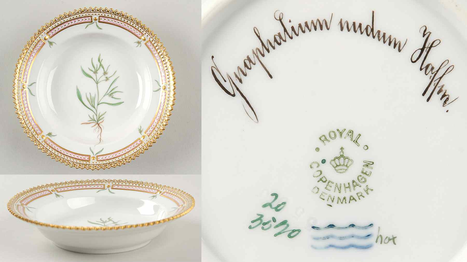 Flora Danica (1790 To 1960) Rim Fruit/Soup Bowl-Gnaphalium nudum Hoffm by Royal Copenhagen-1