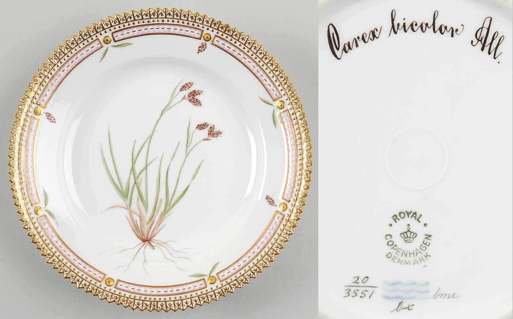 Flora Danica (1790 To 1960) Dessert/Pie Plate-Carex bicolor All by Royal Copenhagen-1