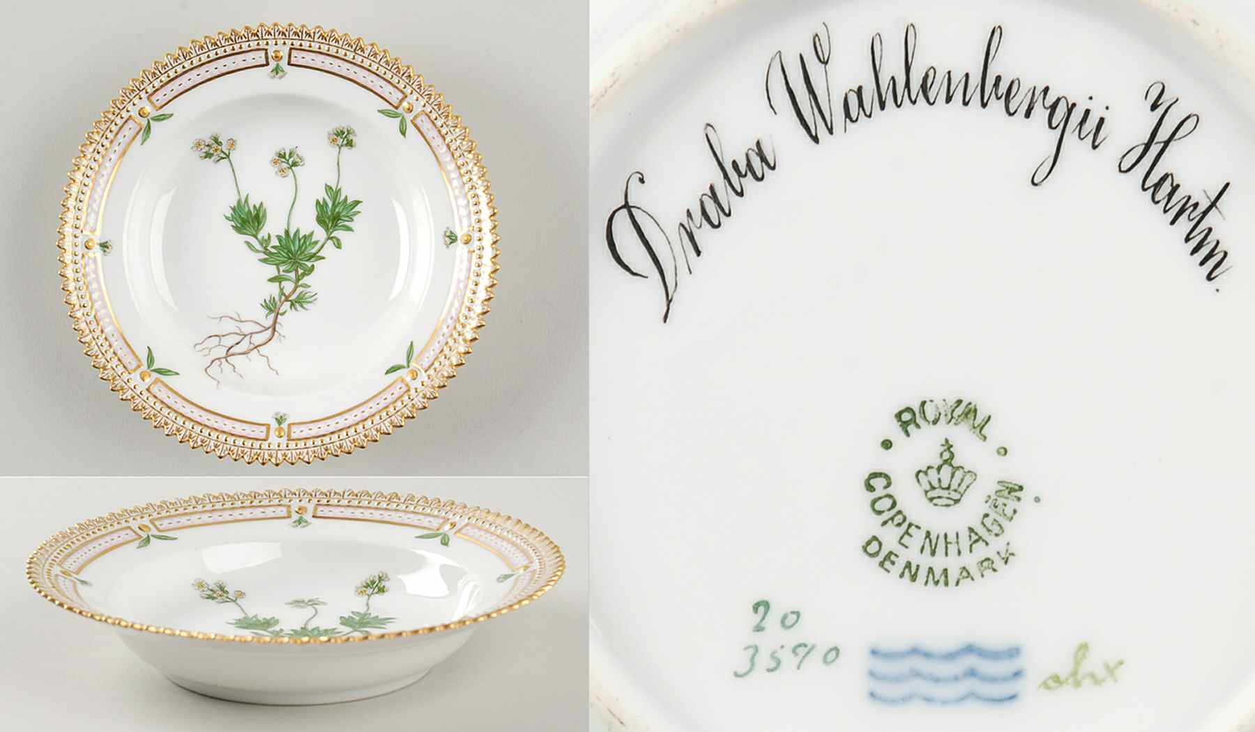 Flora Danica (1790 To 1960) Rim Fruit/Soup Bowl-Draba Wahlenbergii Hartm by Royal Copenhagen-1