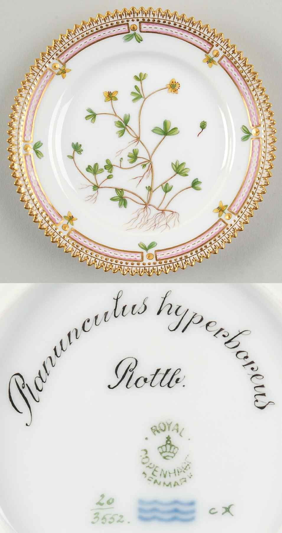 Flora Danica (1790 To 1960) Bread & Butter Plate-Ranunculus hyperboreus Rottb by Royal Copenhagen-1