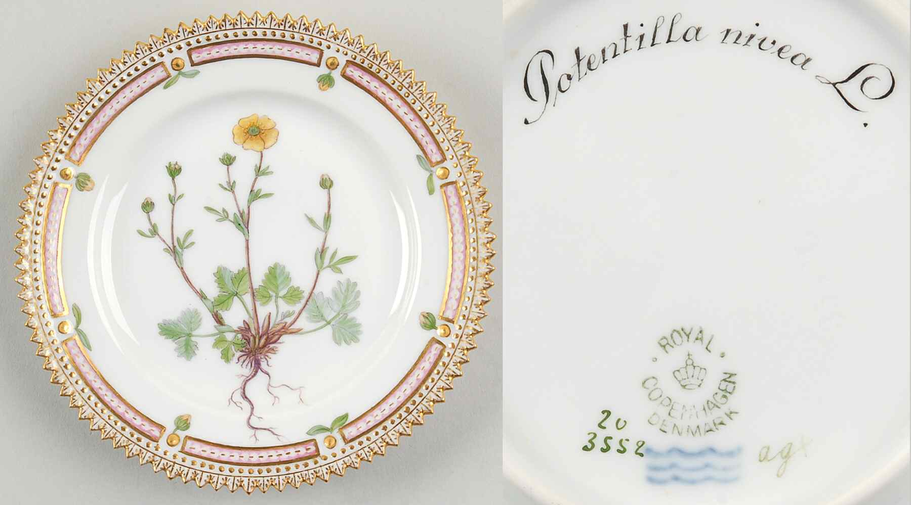 Flora Danica (1790 To 1960) Bread & Butter Plate-Potentilla nivea L by Royal Copenhagen-1