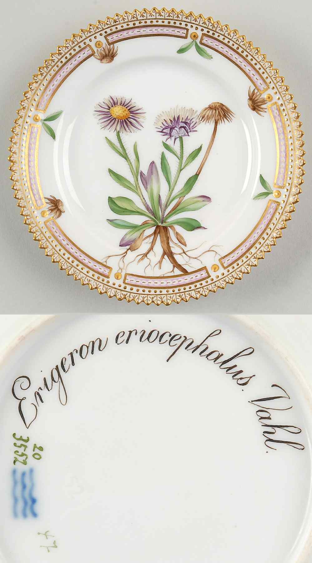Flora Danica (1790 To 1960) Bread & Butter Plate-Erigeron eriocephalus Vahl by Royal Copenhagen-1
