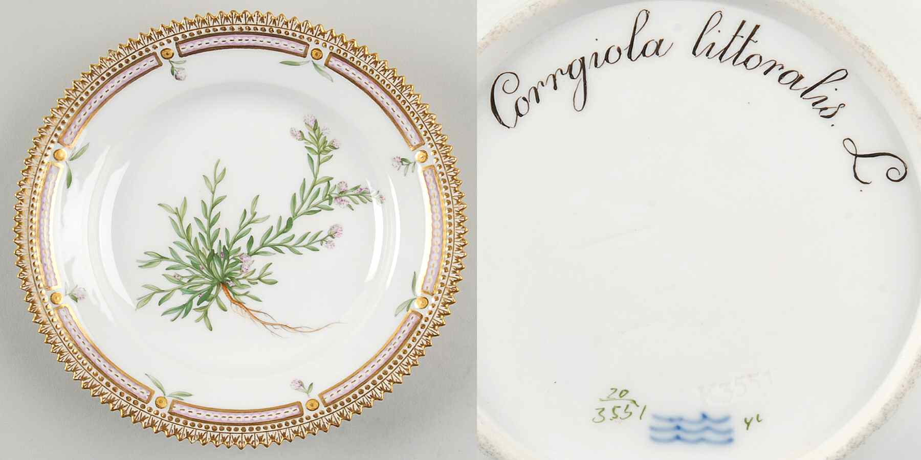 Flora Danica (1790 To 1960) Dessert/Pie Plate-Corrigiola littoralis L by Royal Copenhagen-1