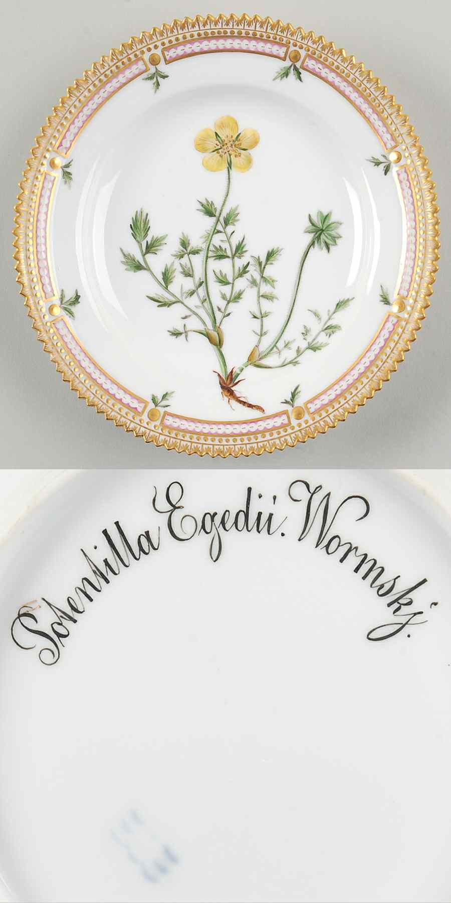 Flora Danica (1790 To 1960) Dessert/Pie Plate-Potentilla Egedii Wormskj by Royal Copenhagen-1