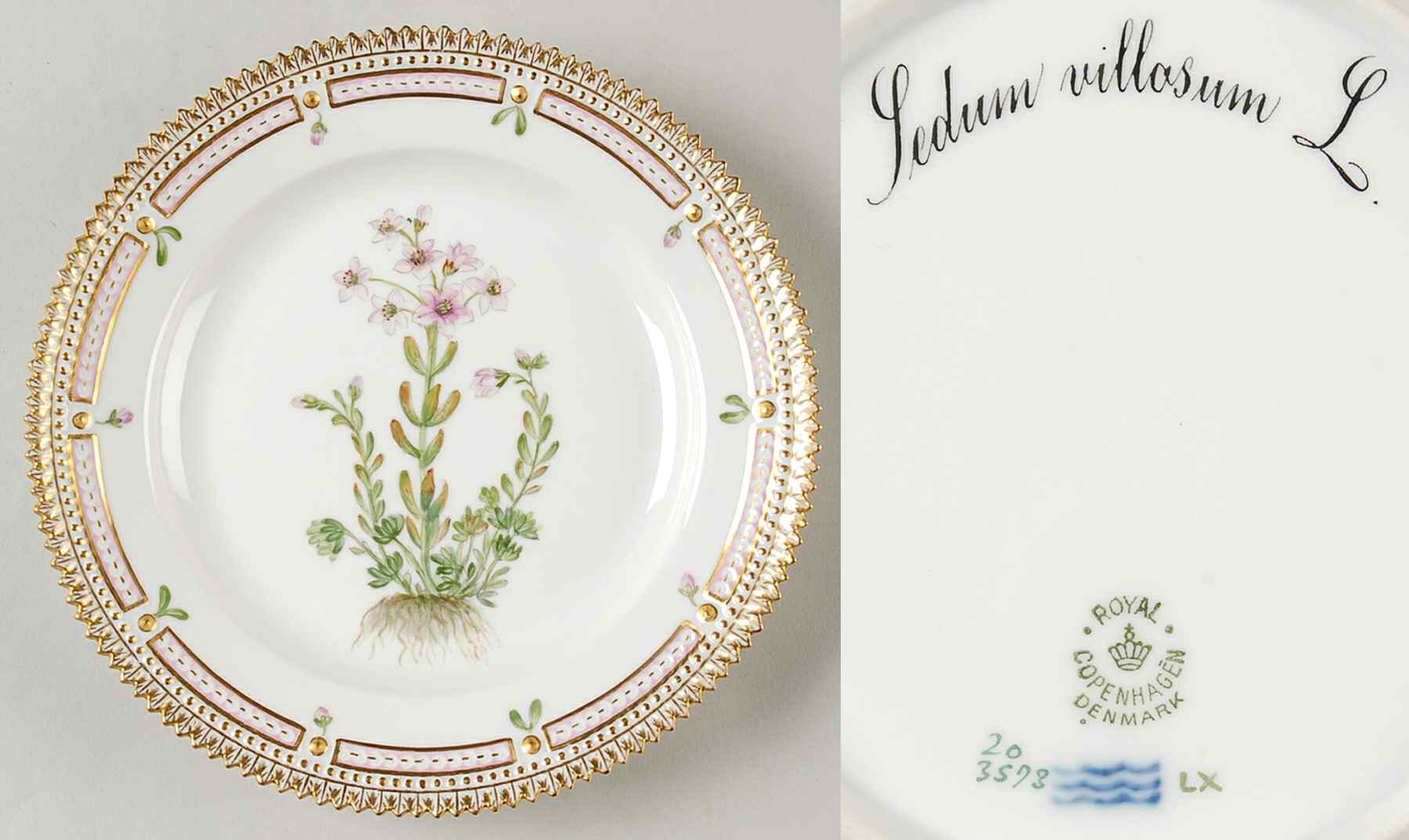 Flora Danica (1790 To 1960) Salad Plate-Sedum villosum L by Royal Copenhagen-1