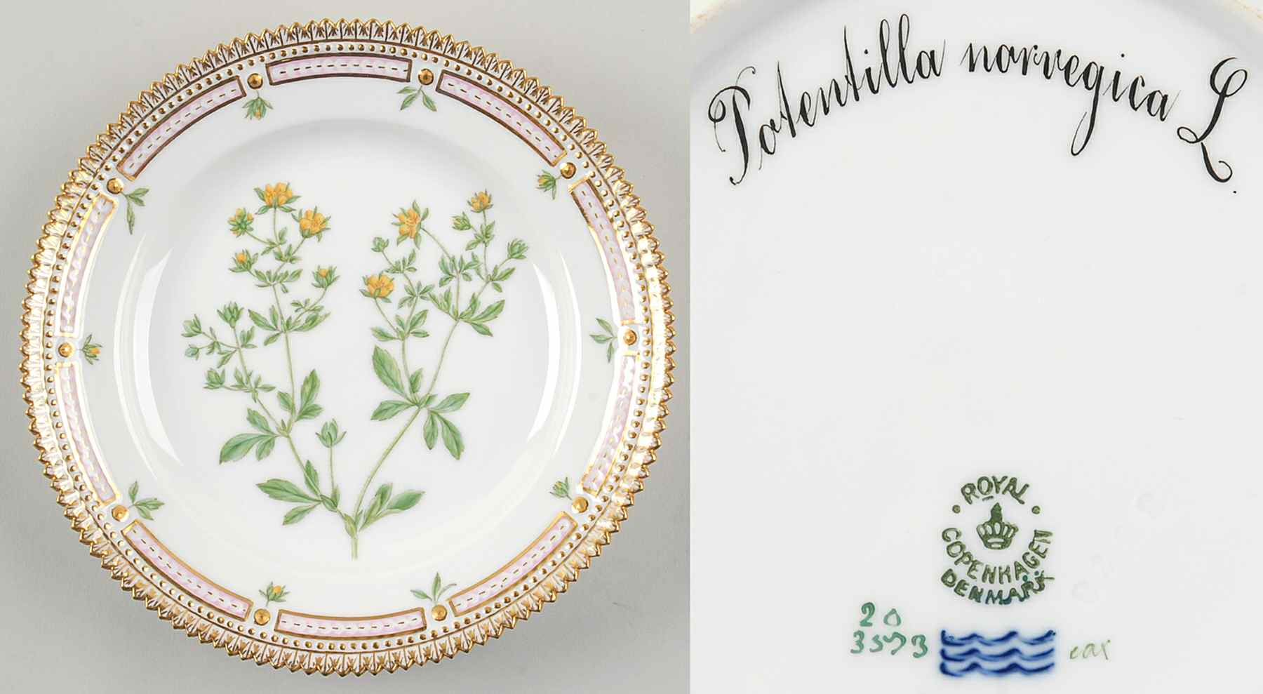 Flora Danica (1790 To 1960) Salad Plate-Potentilla norvegica L by Royal Copenhagen-1