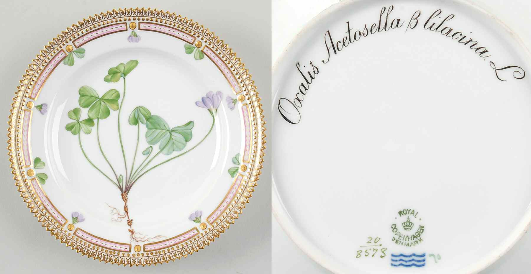 Flora Danica (1790 To 1960) Salad Plate-Oxalis Acetosella var lilacina Lge by Royal Copenhagen-1