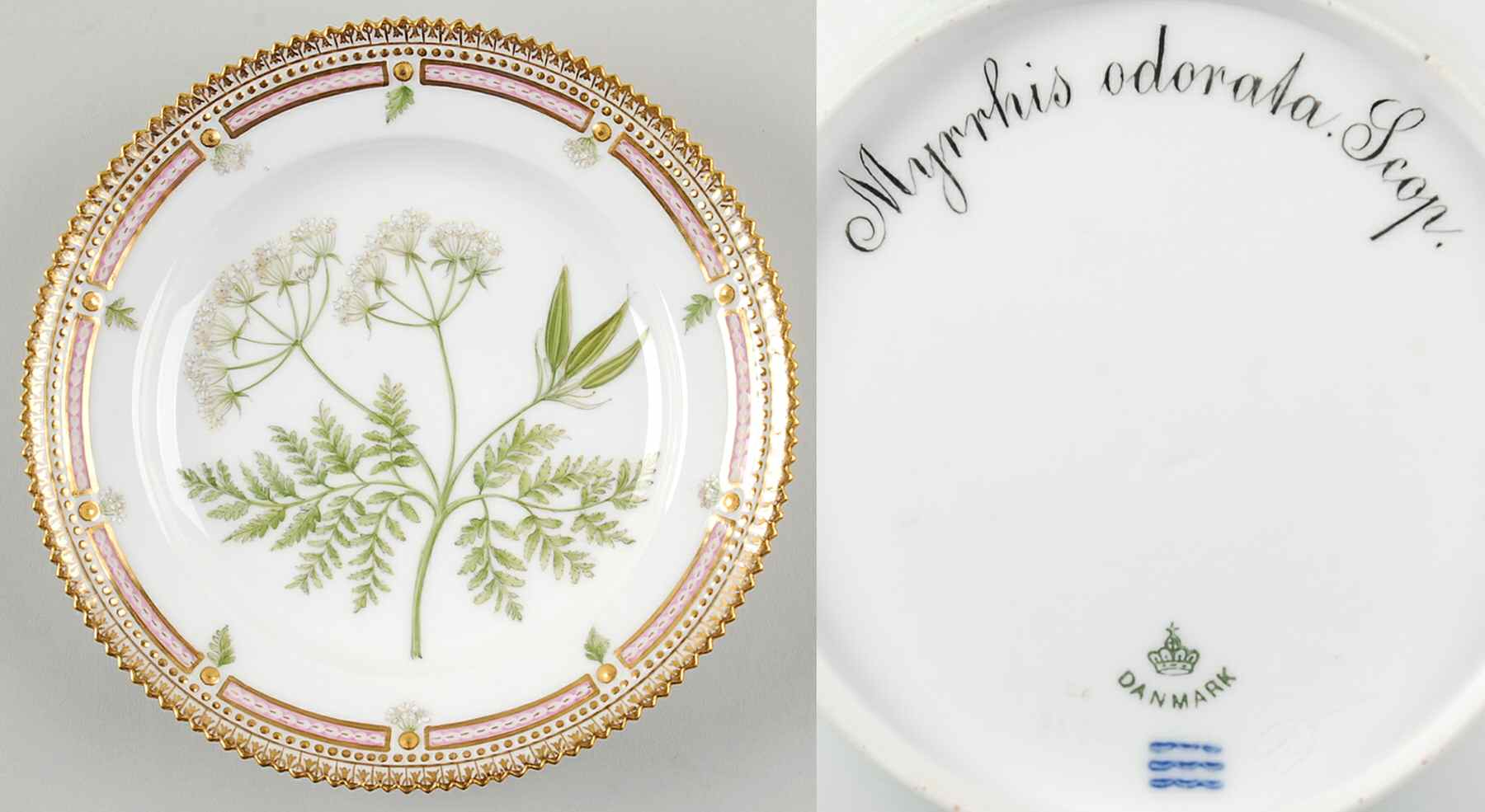 Flora Danica (1790 To 1960) Salad Plate-Myrrhis odorata Scop by Royal Copenhagen-1