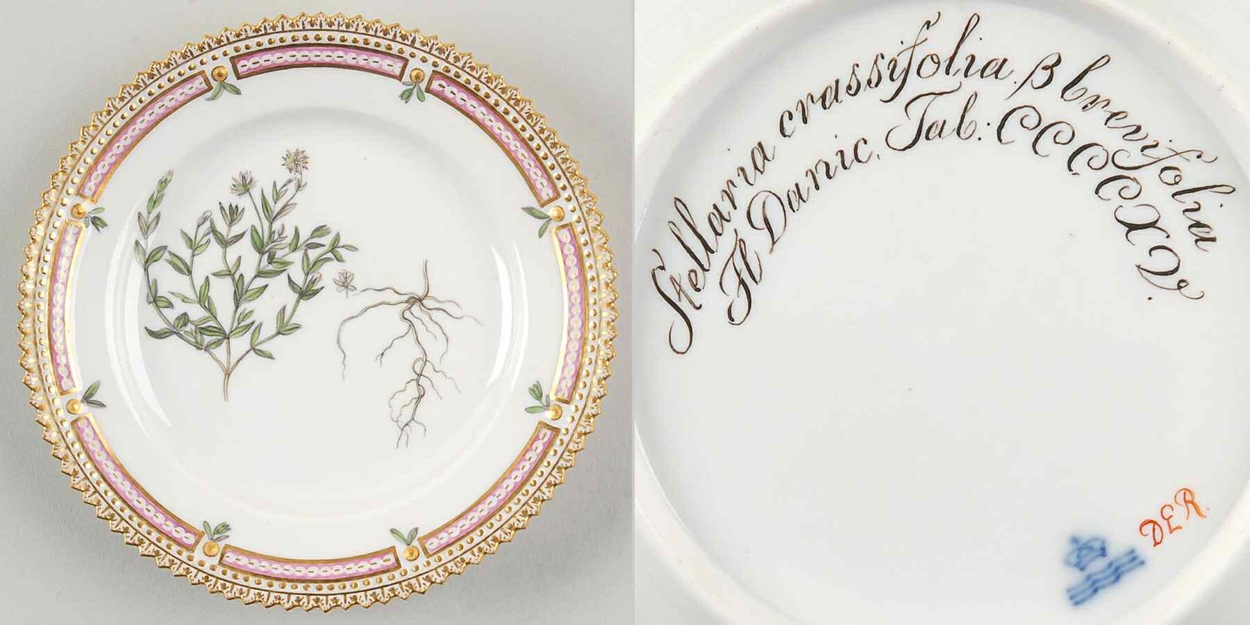 Flora Danica (1790 To 1960) Bread & Butter Plate-JM-Stellaria crassifolia B br by Royal Copenhagen-1