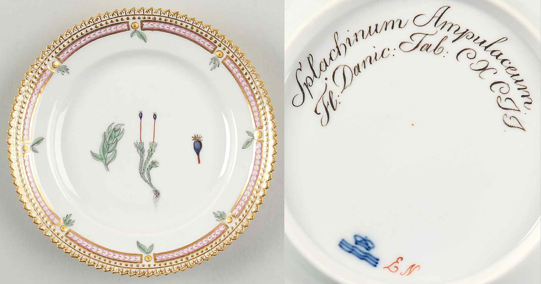 Flora Danica (1790 To 1960) Bread & Butter Plate-JM-Splachinum Ampulaceum by Royal Copenhagen-1