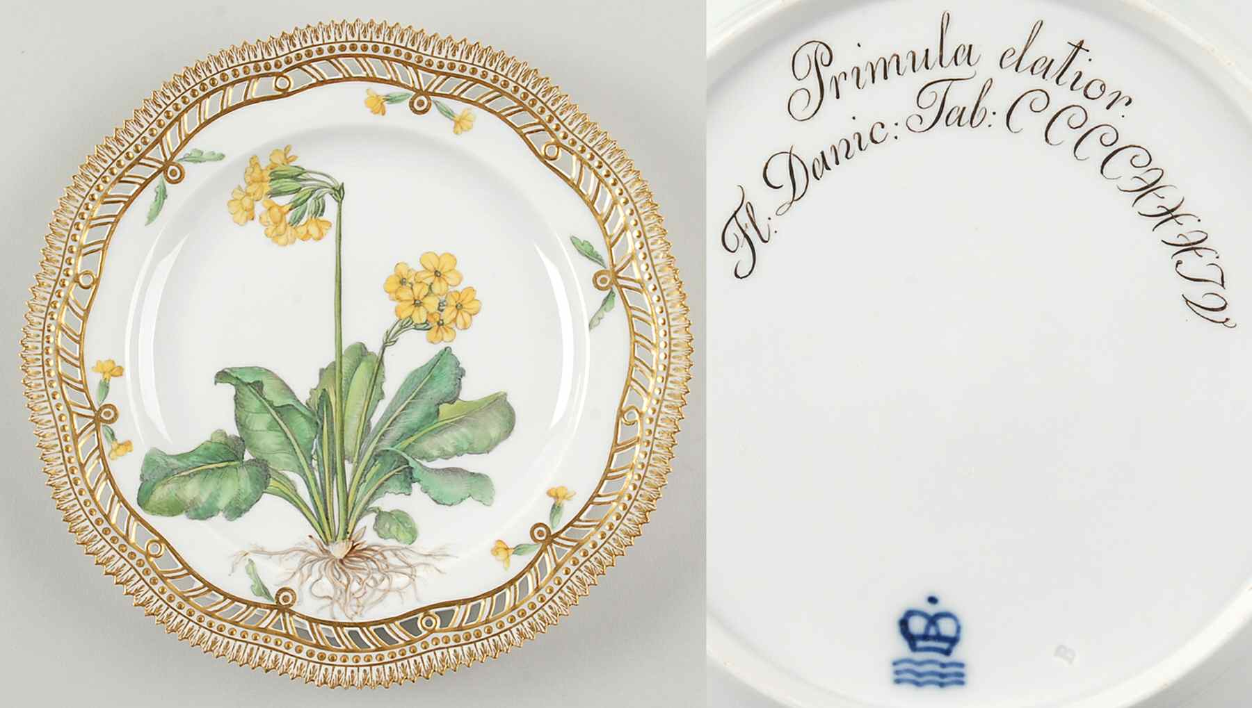 Flora Danica (1790 To 1960) 9" Pierced Luncheon Plate/Fruit St-JM-Primula elat by Royal Copenhagen-1