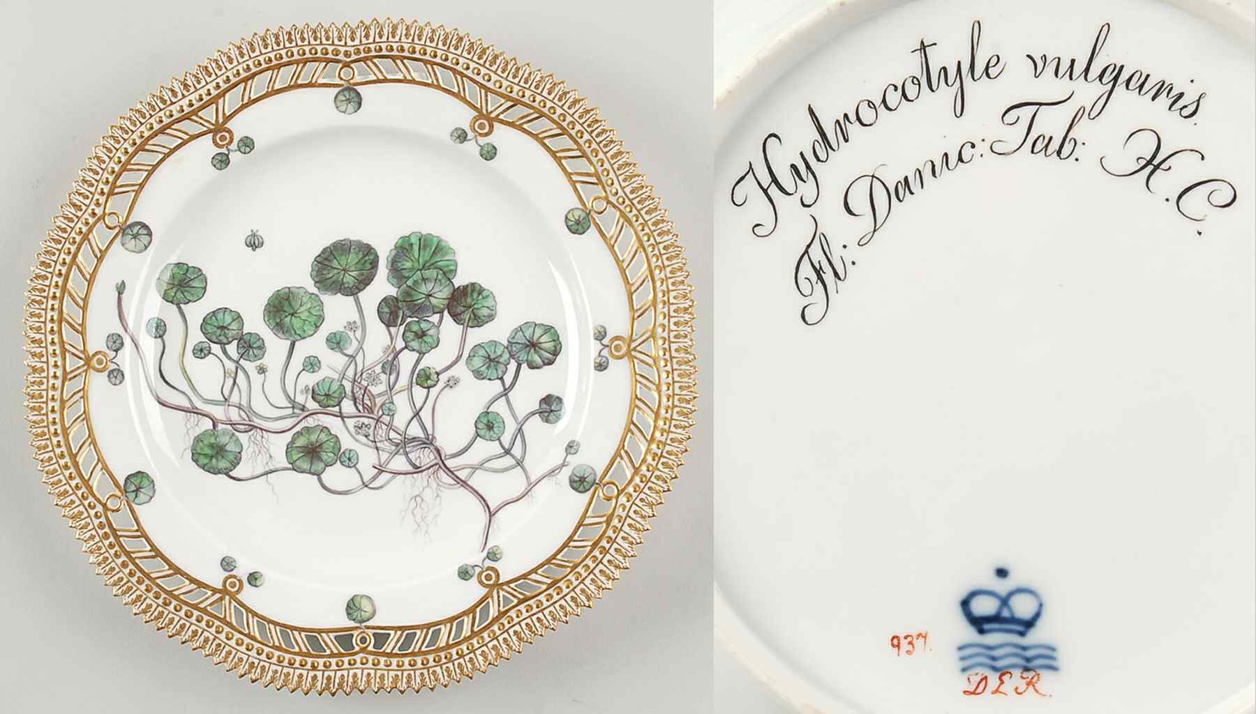 Flora Danica (1790 To 1960) 9" Pierced Luncheon Plate/Fruit St-JM-Hydrocotyle by Royal Copenhagen-1