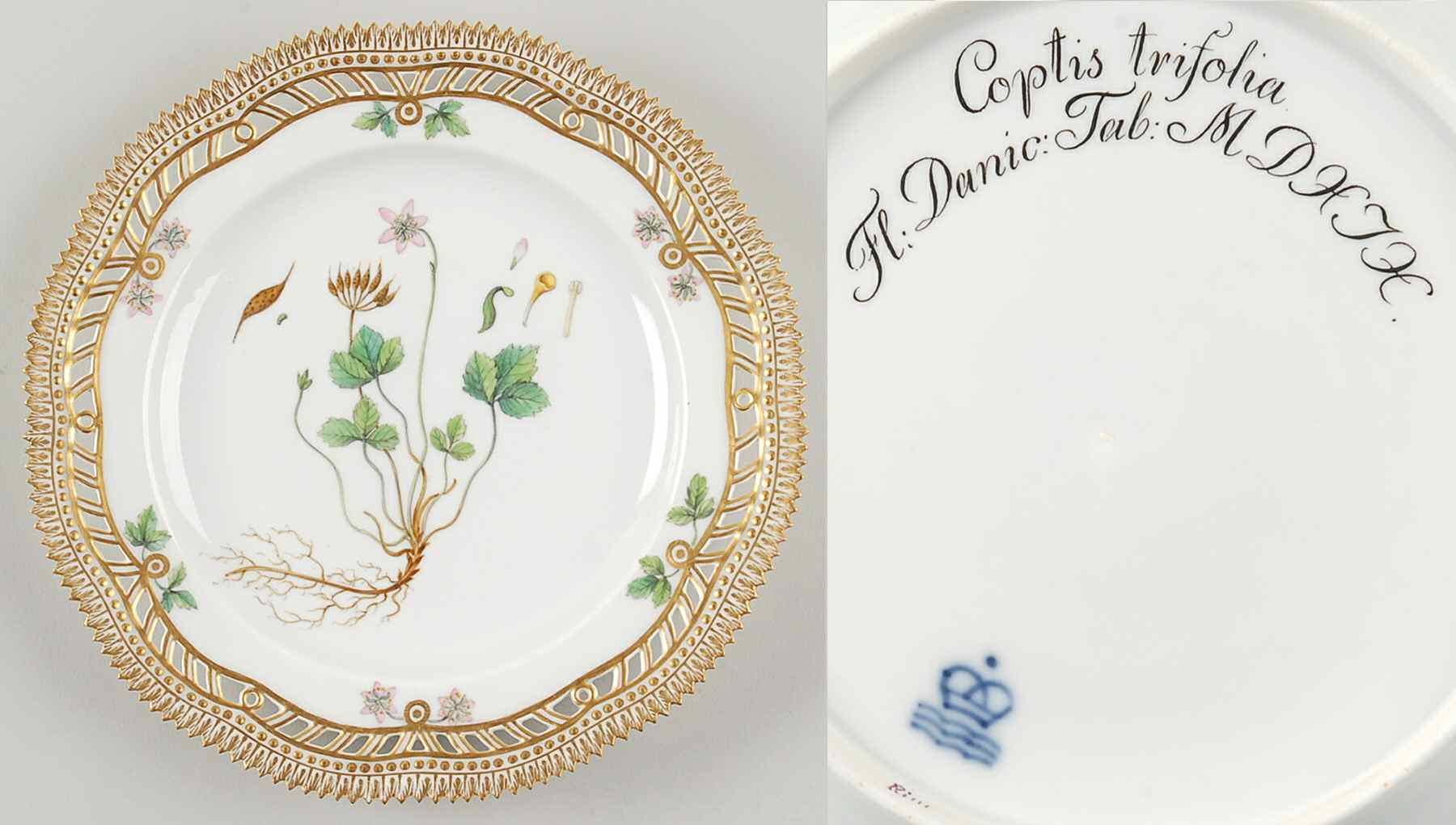 Flora Danica (1790 To 1960) 9" Pierced Luncheon Plate/Fruit St-JM-Coptis trifo by Royal Copenhagen-1