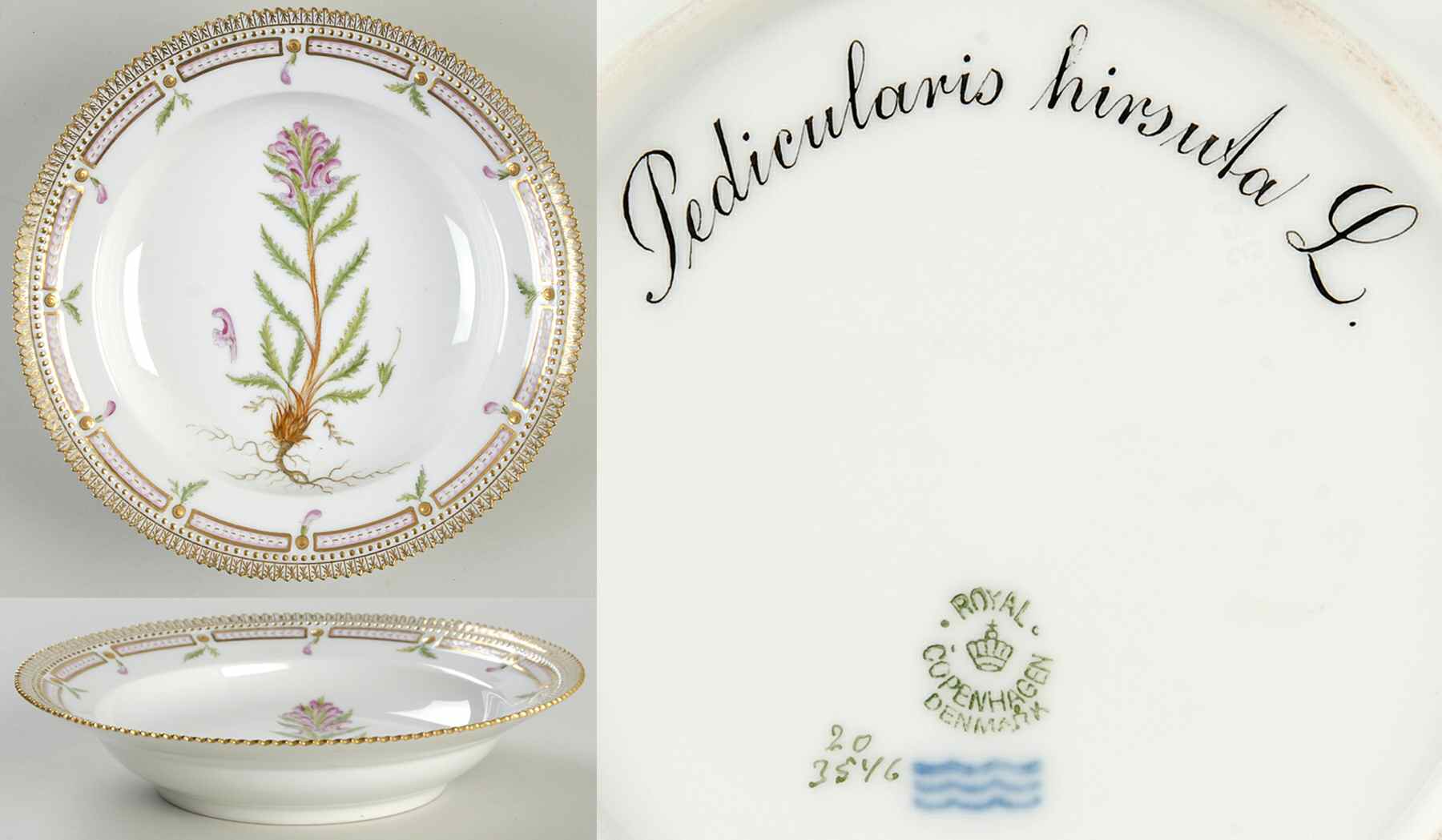Flora Danica (1790 To 1960) Rim Soup Bowl-Pedicularis hirsuta L by Royal Copenhagen-1