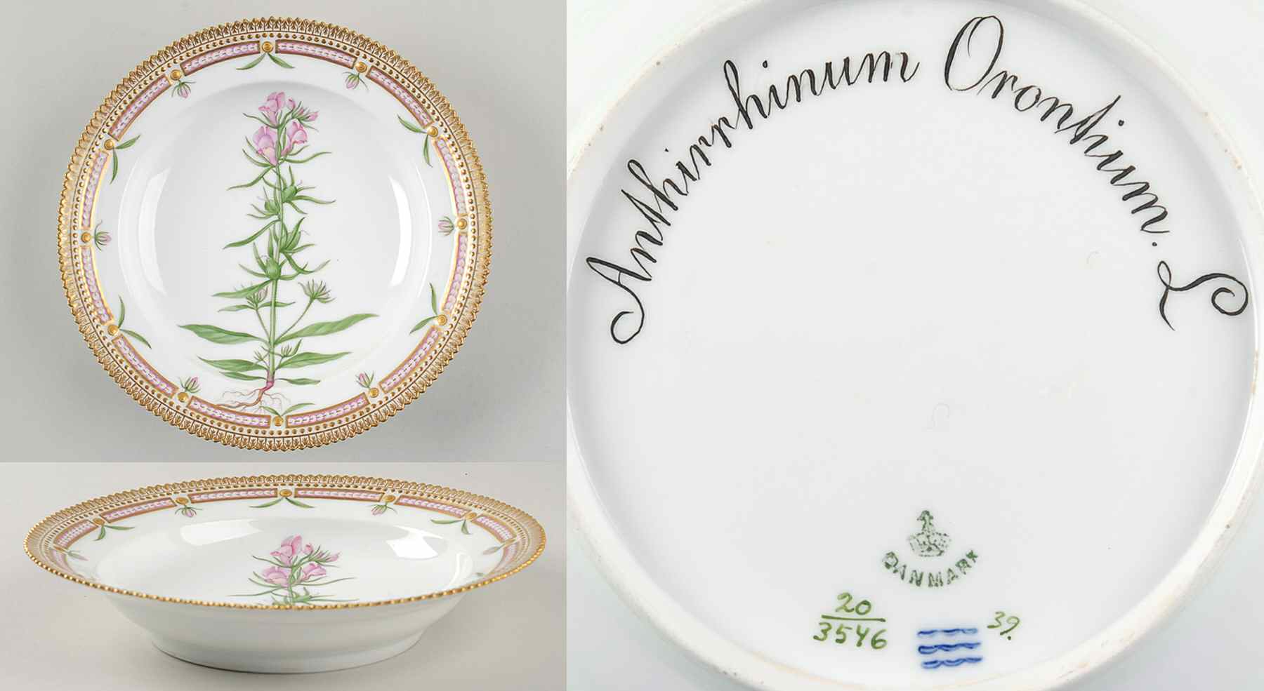 Flora Danica (1790 To 1960) Rim Soup Bowl-Antirrhinum Orontium L by Royal Copenhagen-1