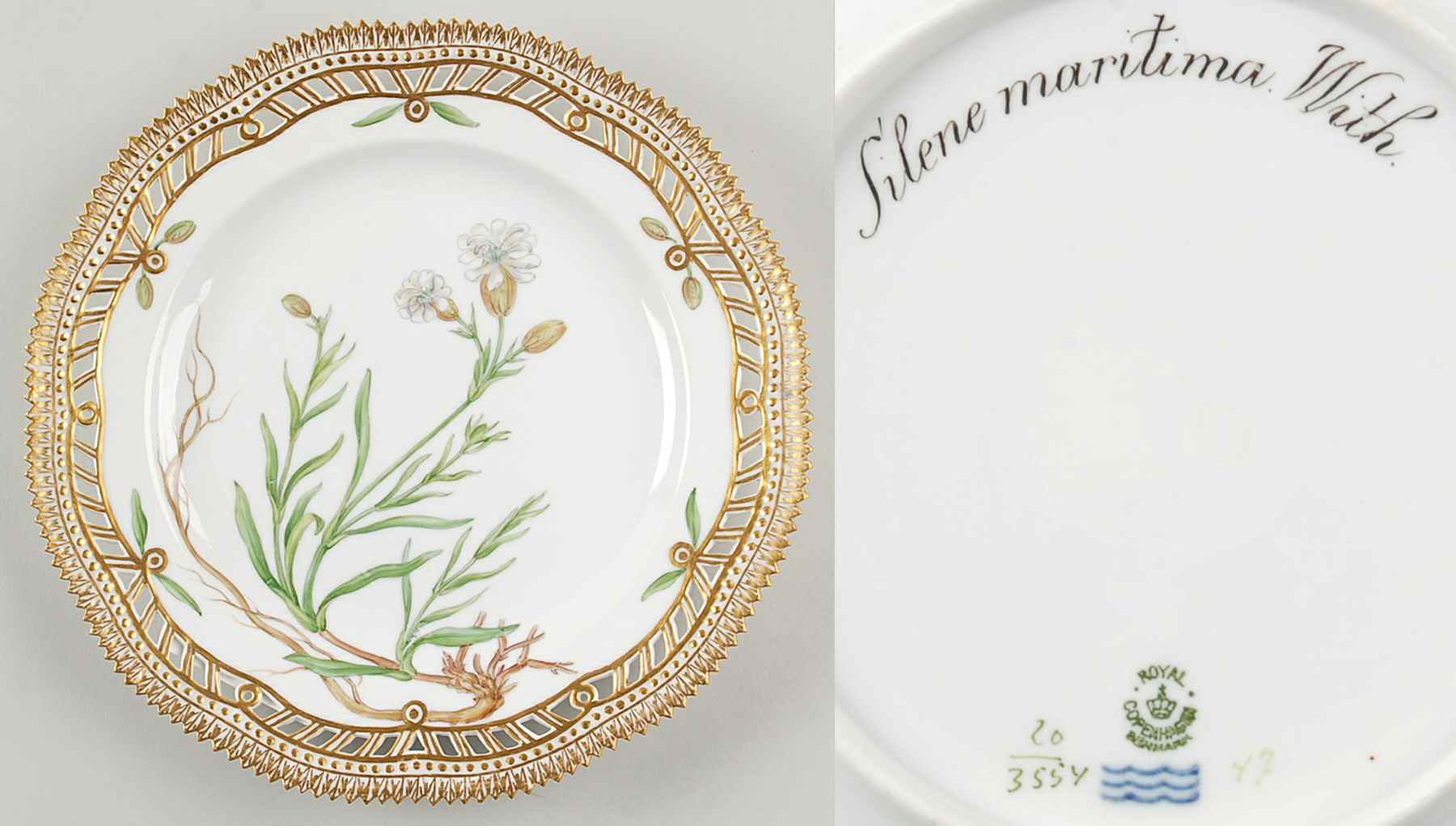 Flora Danica (1790 To 1960) 9" Pierced Luncheon Plate/Fruit Std-Silene maritim by Royal Copenhagen-1