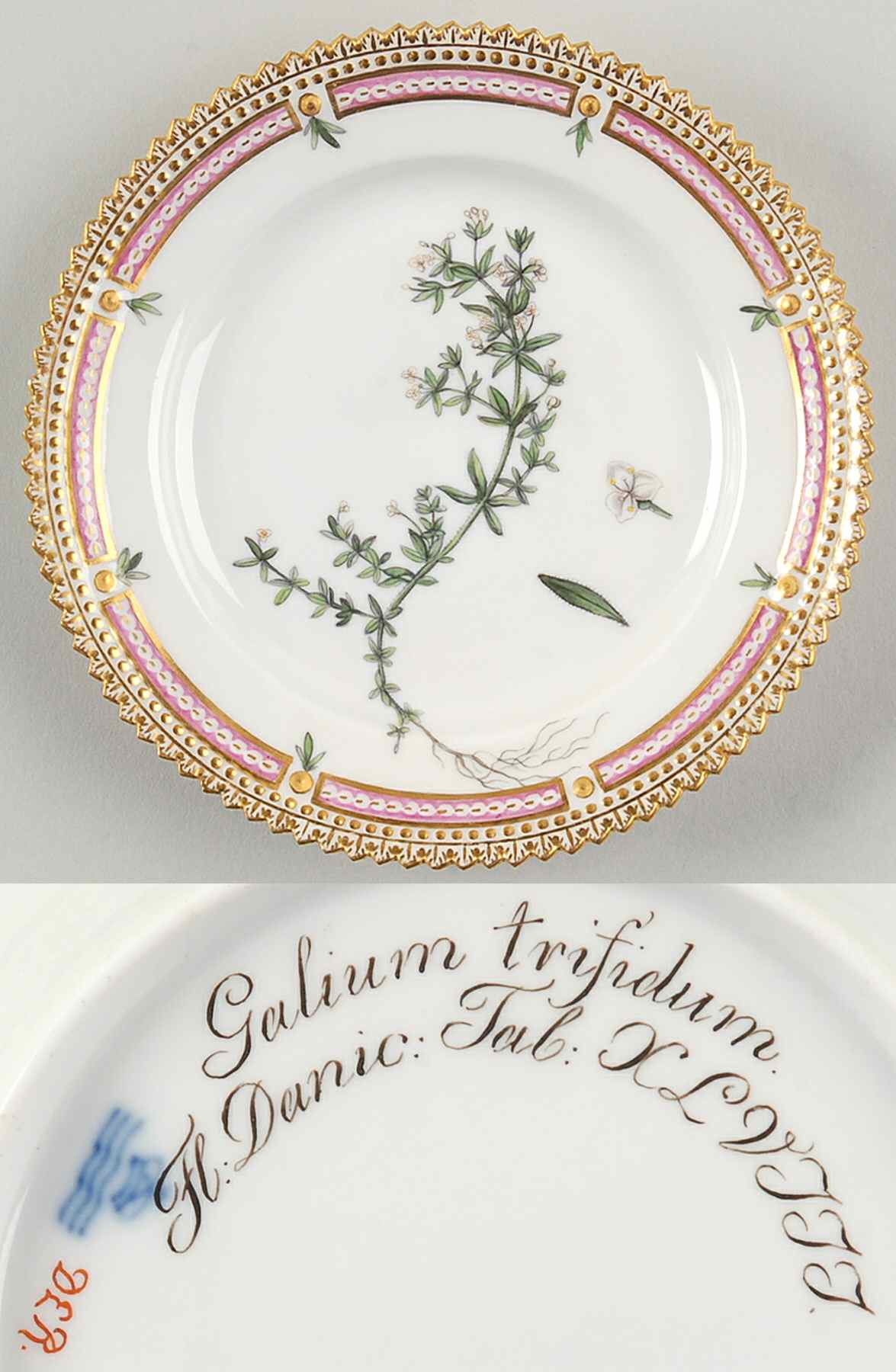Flora Danica (1790 To 1960) Bread & Butter Plate-JM-Galium trifidum by Royal Copenhagen-1