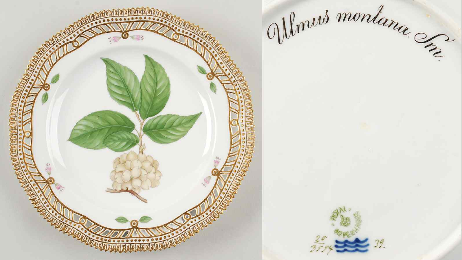 Flora Danica (1790 To 1960) 9" Pierced Luncheon Plate/Fruit Std-Ulmus montana by Royal Copenhagen-1